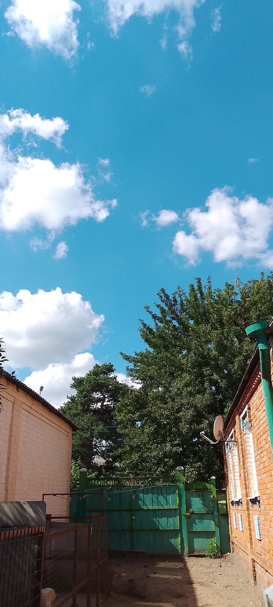 The image depicts an outdoor scene with a bright blue sky dotted with white cumulus clouds. In the foreground, to the left, is a light pink brick building with a slanted roof. Adjacent to it, a brown metal fence encloses an area. To the right, a red brick building with white-framed windows and a green drainpipe is visible. A satellite dish is mounted on the wall of the red brick building. Behind the buildings, a dense green foliage of trees is present, with a tall pine tree visible among them. A green metal gate stands in the middle ground, separating the two properties. The ground is composed of dirt and gravel. The lighting suggests it is daytime, likely late morning or early afternoon, given the shadows. The scene appears to be in a residential or semi-rural area. Based on the architectural style of the buildings and the presence of common Russian household features such as a satellite dish, this scene is consistent with a location in the city of Belgorod, Russia.