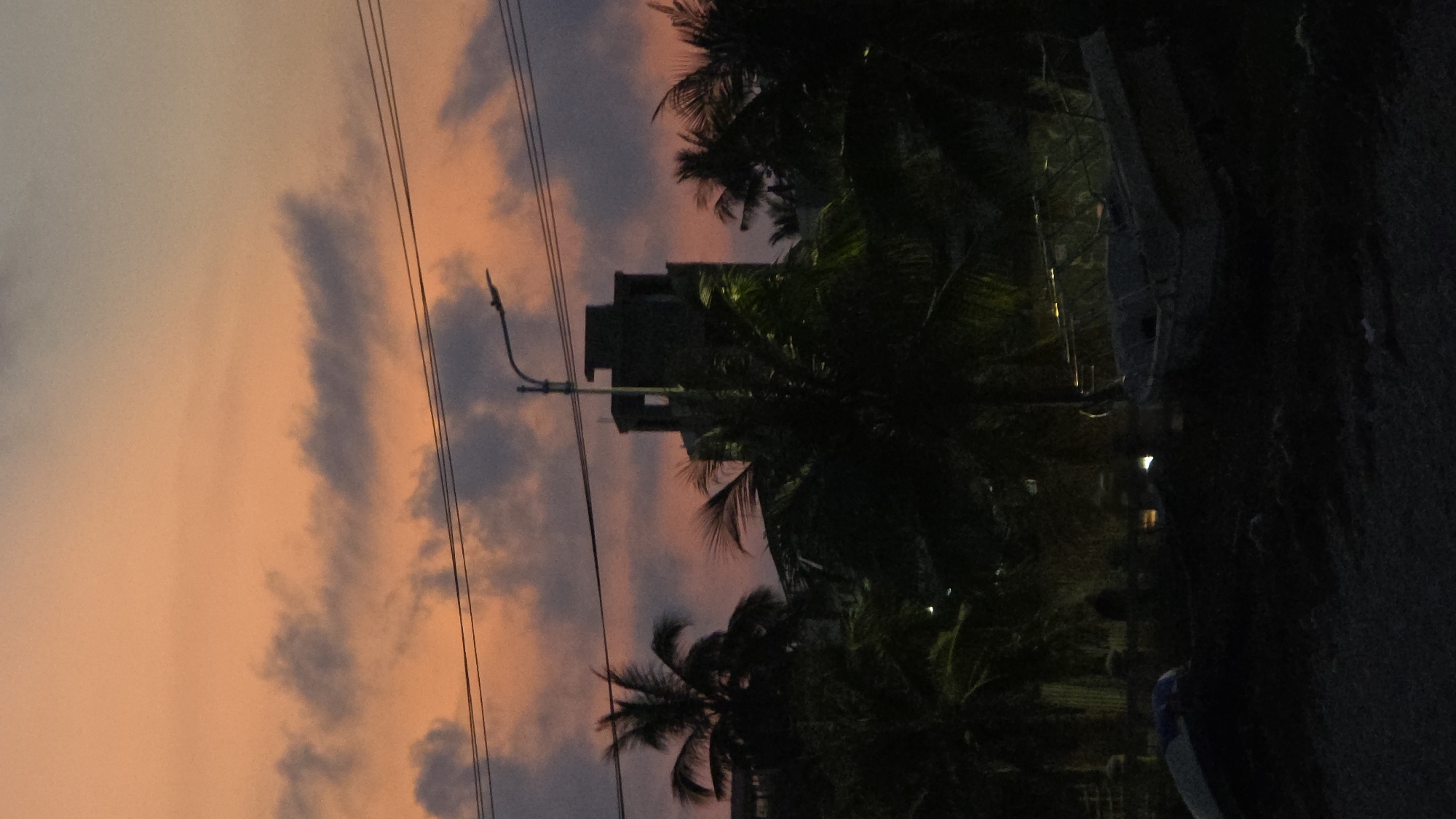 The image captures a dusky scene in Nha Trang, Vietnam, with the sky painted in shades of orange and grey by the setting sun. Wisps of dark clouds are scattered across the sky, crisscrossed by the stark lines of overhead power cables. The silhouette of a building is visible amidst the lush greenery of palm trees, and a street lamp stands nearby. The foreground is dark, hinting at the street level, while faint lights suggest the presence of other buildings in the vicinity. The scene is indicative of a tropical urban environment transitioning from day to night.