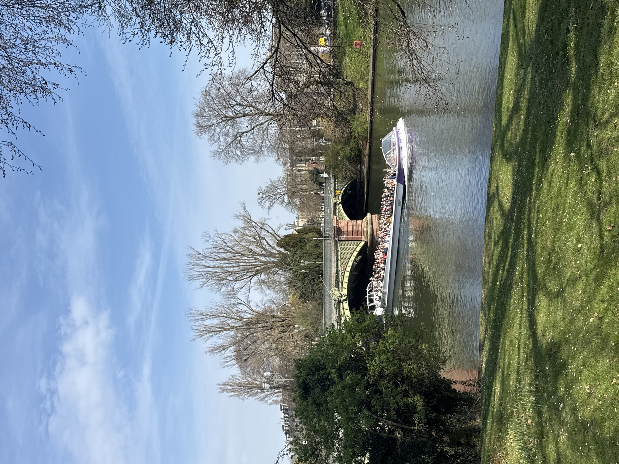 The image captures an outdoor scene on a sunny day in Strasbourg, France, specifically featuring the Ill River near the Pont d'Auvergne. A white and purple tour boat, labeled "EUROPE" on its hull, is moving leftward on the calm, greenish-blue river, carrying numerous passengers seated on an open-air deck and under a transparent canopy at the front.
In the mid-ground, the Pont d'Auvergne, an ornate multi-arched bridge, spans the river. It features dark green metal lattice work for its arches and reddish stone abutments. Streetlights are visible on the bridge structure. Beyond the bridge, bare deciduous trees with visible branches and budding foliage line the riverbanks and extend into the background. Historic multi-story buildings with characteristic European architecture are partially visible through the trees.
The foreground consists of a sunlit grassy embankment, sloping down towards the river, with scattered light-colored debris and shadows from unseen overhead trees. A dense green shrub occupies the left side of the mid-ground. The sky above is clear blue with sparse white clouds. A red circular sign is partially visible on the far riverbank to the right of the bridge.