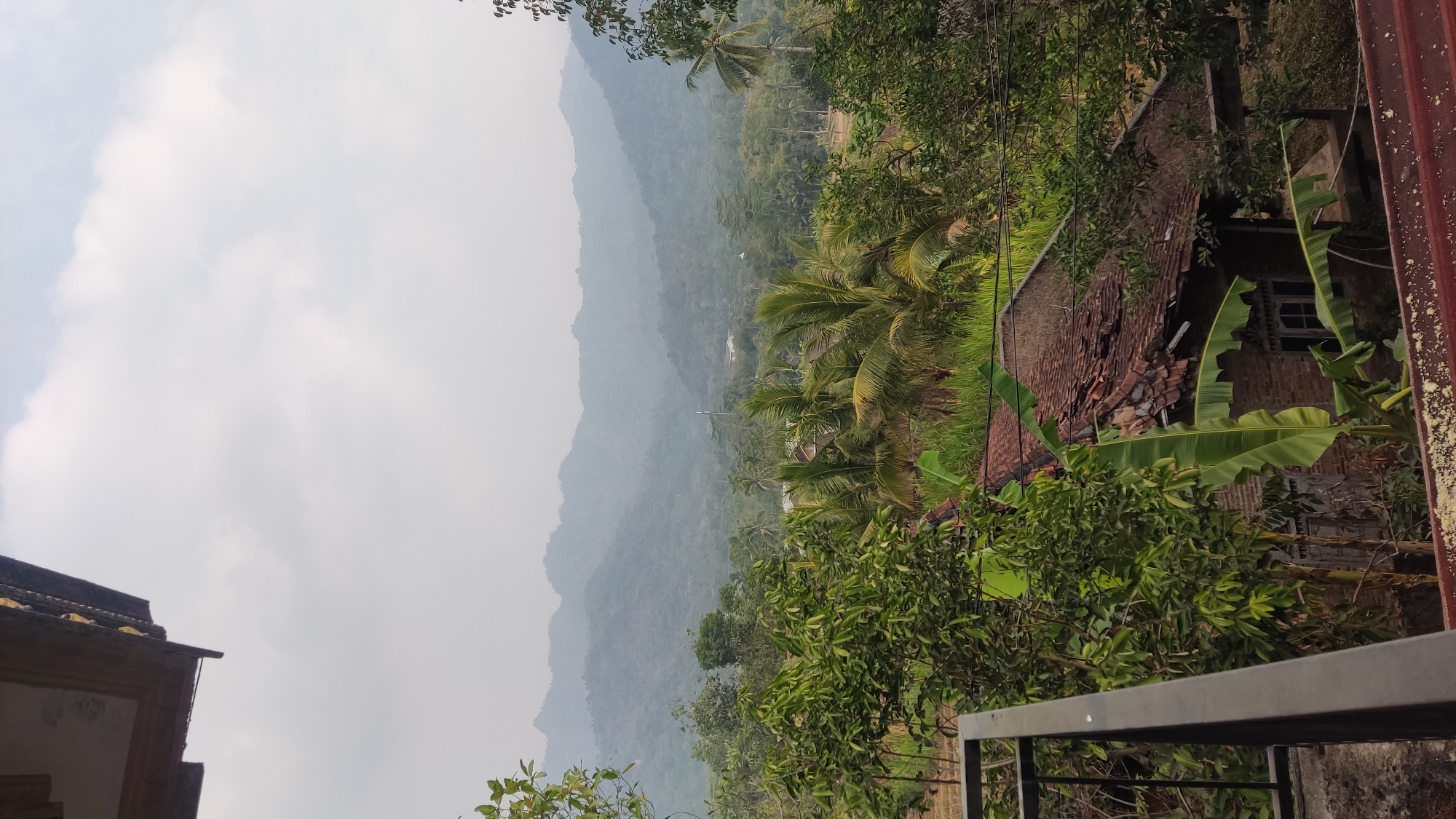 The image depicts a rural landscape in Ngadiharjo, Indonesia, characterized by rolling, misty hills in the distance. In the foreground, a weathered house with a damaged, tiled roof is partially obscured by lush green foliage, including banana trees and various other plants. A metal railing is visible on the left side of the frame, suggesting a vantage point from a balcony or porch. The sky is overcast with a pale, hazy light. The scene conveys a sense of natural beauty and rustic living.