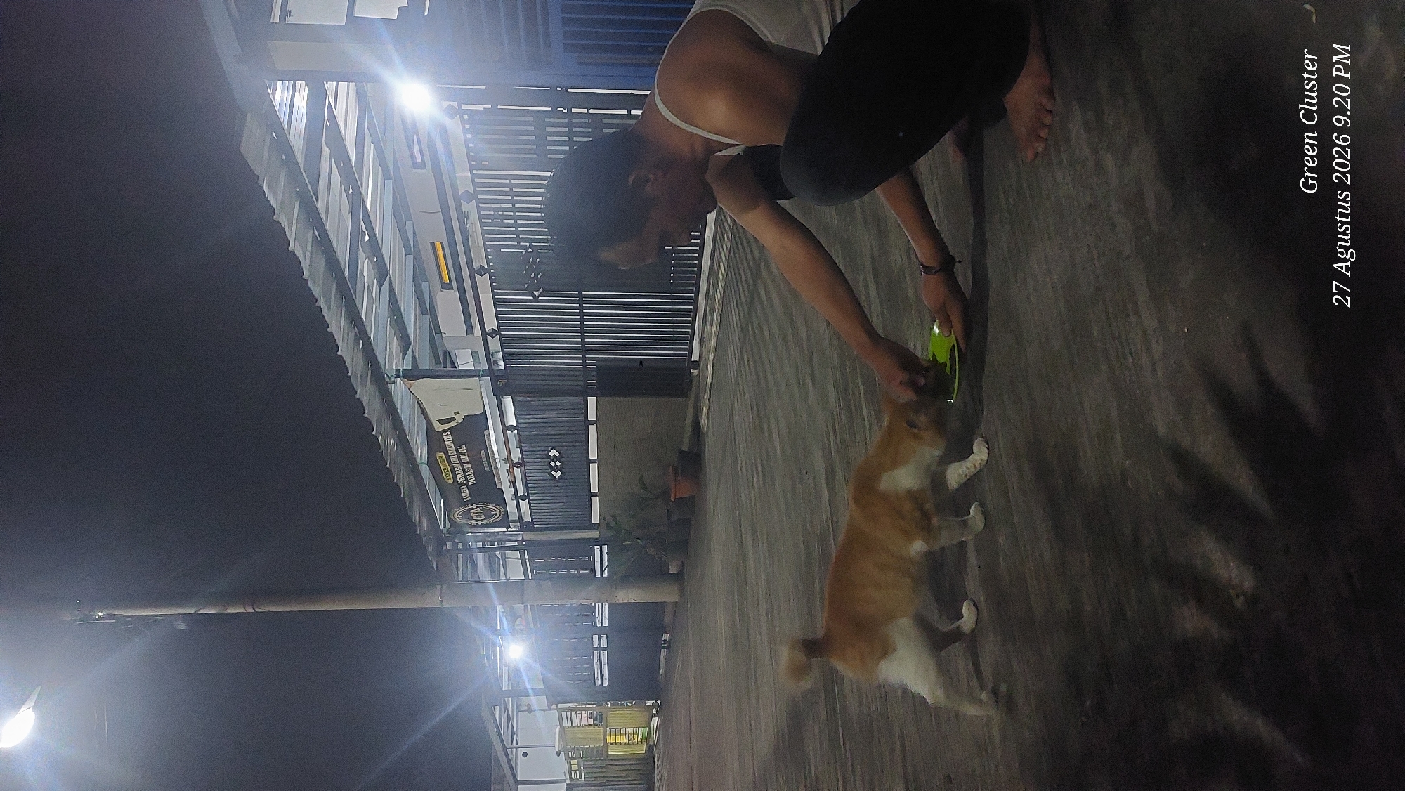 A medium shot captures a nighttime scene outside a building with a metal roof. In the foreground, a person wearing a white tank top and black pants is crouched down, offering food from a green plate to a ginger and white cat. The cat is bending down to eat from the plate. The ground appears to be asphalt or concrete. In the background, there is a metal fence, potted plants, and a banner with text, likely indicating a business or organization. A streetlamp illuminates the scene from the left. The timestamp "Green Cluster 27 Agustus 2026 9.20 PM" is overlaid on the lower right corner of the image. The text on the banner appears to be in Indonesian and mentions "KANGEAN SEJAHTERA KOMUNITAS DINAS PASAI ALAI."