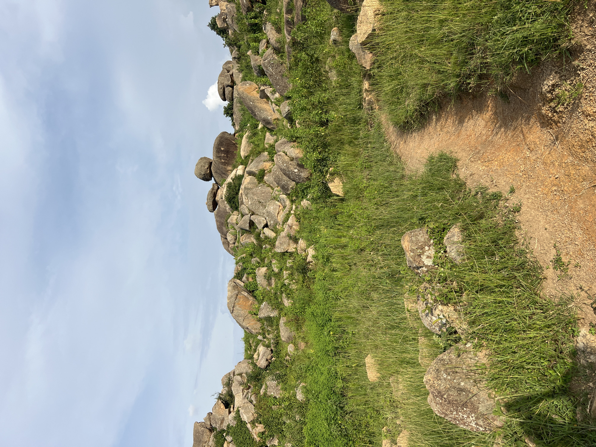 The image depicts a natural landscape with a dirt path winding through tall green grass and large rock formations. The sky above is partly cloudy with a pale blue hue. The terrain is hilly, with scattered boulders and smaller rocks of various sizes. Lush green vegetation, including bushes and grasses, covers the ground and grows around the rocks. The path appears to be well-trodden, suggesting it is a frequently used trail. The scene has a rugged, undeveloped feel, typical of natural parks or undeveloped areas. The location is identified as a rocky hill in Jos, Nigeria.