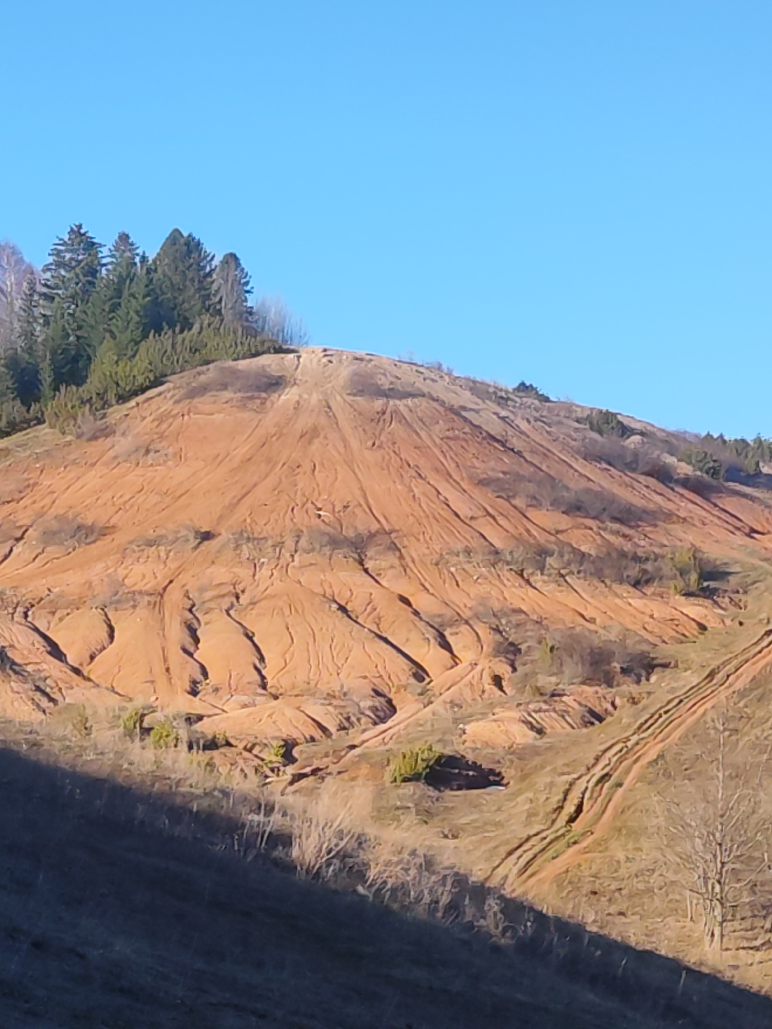 The image depicts a reddish-brown hill under a clear blue sky in Прикамский, Russia. A cluster of coniferous trees is located near the summit. Erosion has created numerous channels on the hill's surface, suggesting water runoff. A dirt road traverses the lower right side of the hill. Sparse vegetation is visible across the landscape. The bottom of the frame is in shadow, obscuring details.