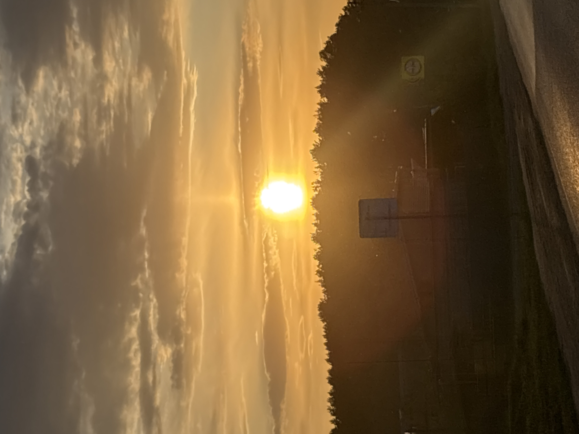 The image shows a sunset in what appears to be a rural or suburban area. The sun is a bright focal point, partially obscured by trees along the horizon. To the left of the frame, there are clouds illuminated by the sunset. To the right of the trees, there's a road, and a few utility poles and signs can be seen. The exact location in Chaikovsky, Russia cannot be determined from the visual information provided. No people, actions, or interactions are observable.