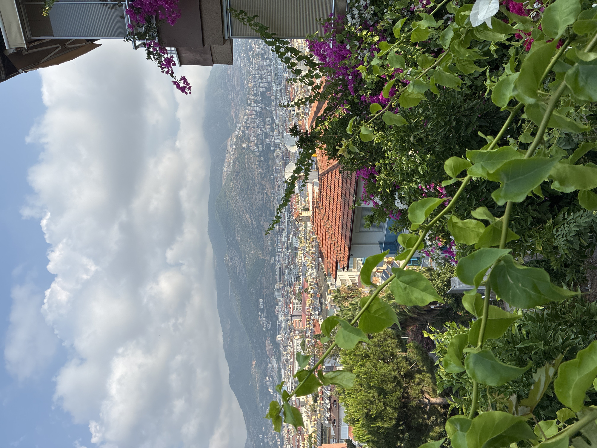 The image displays a panoramic view of the city of Alanya, Turkey, from a vantage point overlooking the urban landscape and the mountains beyond. In the foreground, lush green foliage, including large leaves and branches, partially obscures the view. Several flowering plants with vibrant pink and white blooms are visible, adding color to the scene.
The middle ground reveals a dense collection of buildings with terracotta roofs, characteristic of Mediterranean architecture. Solar panels are visible on many rooftops, indicating a focus on sustainable energy. Some trees are interspersed among the buildings. A portion of a building with a balcony and a retractable awning is present on the right side of the frame.
In the background, the city sprawls across the foothills, extending towards a large, hazy mountain range. The sky is partly cloudy, with soft, white clouds against a blue backdrop. A small, dark object, possibly a drone or a distant bird, is faintly visible in the sky above the mountains. The overall impression is of a sunlit day in a coastal city, with a blend of natural beauty and urban development.