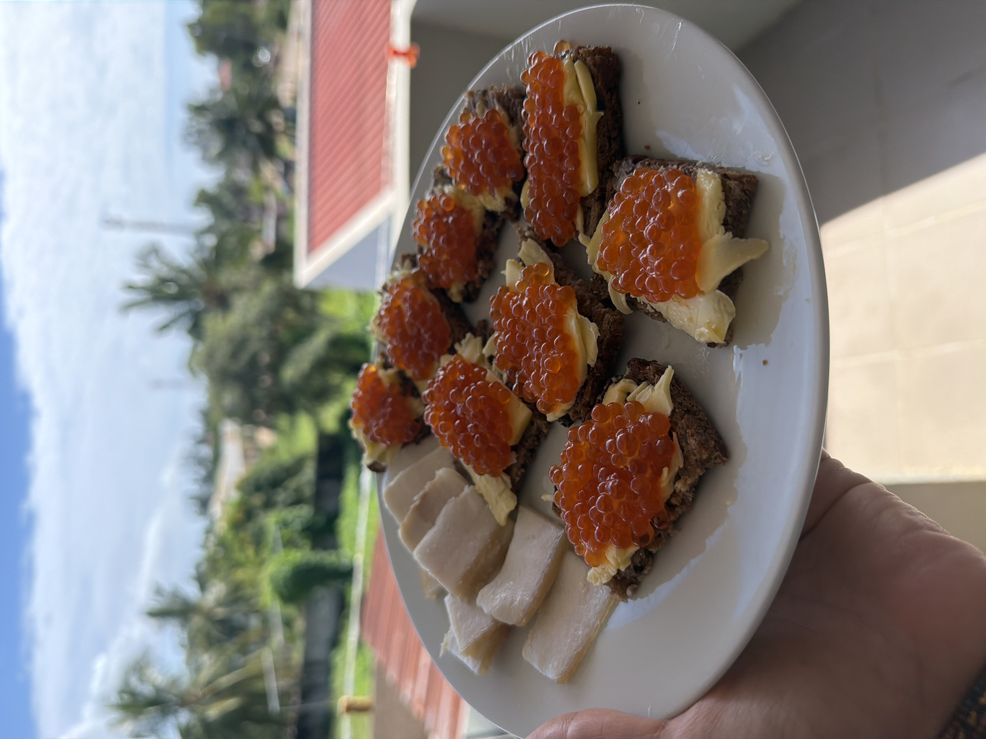 A plate of food held in a hand, likely outdoors, is the central focus of the image. The plate contains small slices of dark bread topped with butter and orange-colored caviar, interspersed with slices of white fish. The foreground is somewhat out of focus, while the background shows a residential scene with trees, the edge of a red-roofed building, and a blue sky with scattered clouds. The location appears to be Unknown, Unknown.