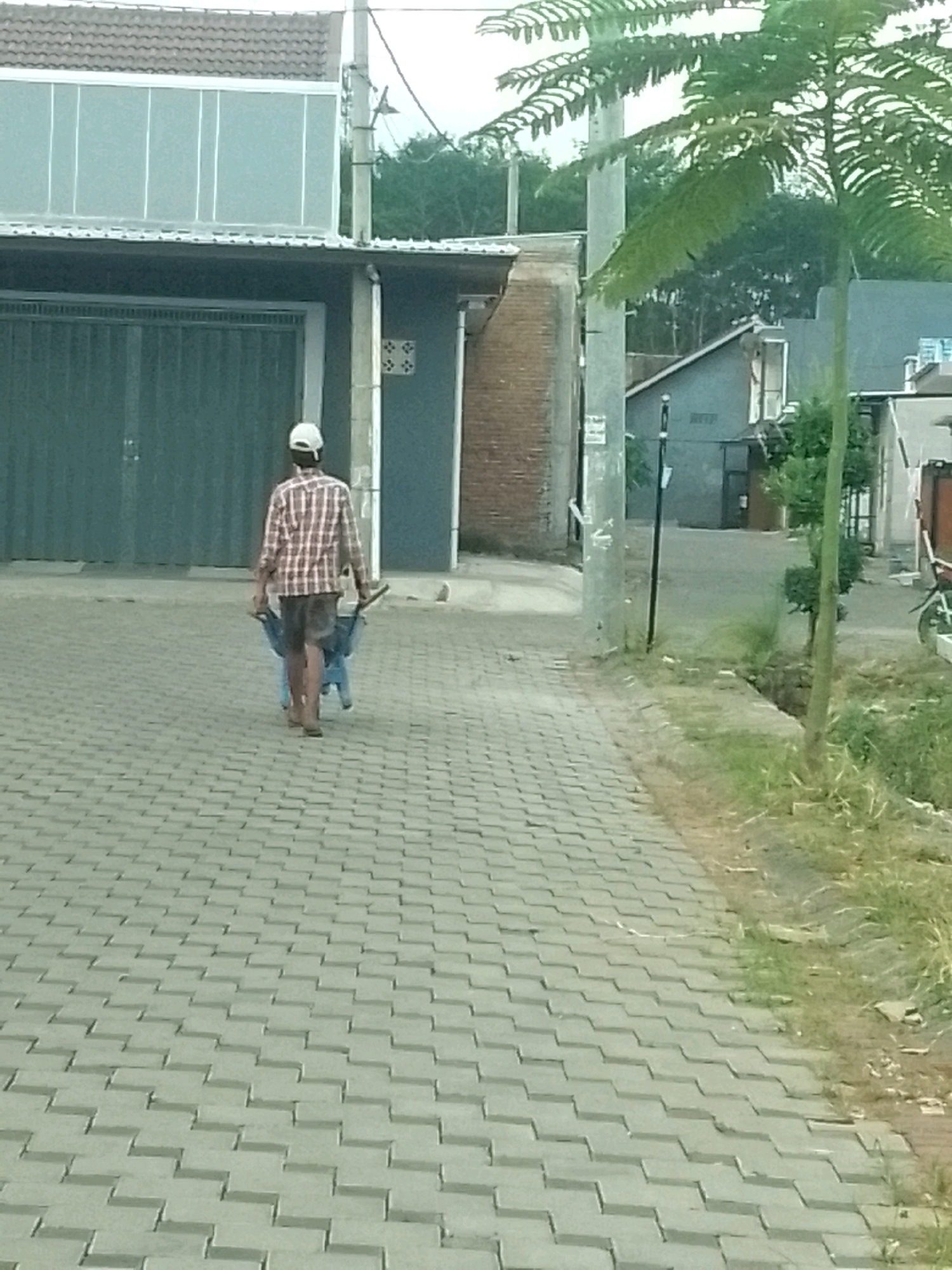 The image depicts a street scene in Jember, Indonesia, with a person walking away from the camera, pushing a blue wheelbarrow on a paved sidewalk. The person is wearing a red and white checkered shirt, dark shorts, and a white cap. The background shows buildings, including a structure with a large green garage door and another with a brick facade. Lush green trees and vegetation are visible, suggesting a somewhat rural or suburban setting within the city. A telephone pole stands on the right side of the image. The overall lighting and atmosphere suggest it is daytime.