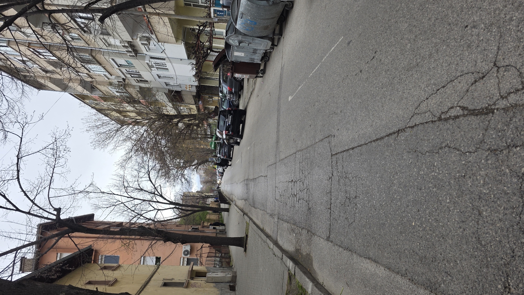 The image captures a street in Blagoevgrad, Bulgaria. The perspective is along a narrow asphalt road with evident cracks and repairs. A row of parked cars lines the left side of the street, interspersed with metal trash bins. Buildings of varying heights and designs border the street, including multi-story residential buildings with windows and a lower, peach-colored building. Bare trees are scattered along the street, casting shadows on the buildings and road. The sky is overcast. No people are directly visible.