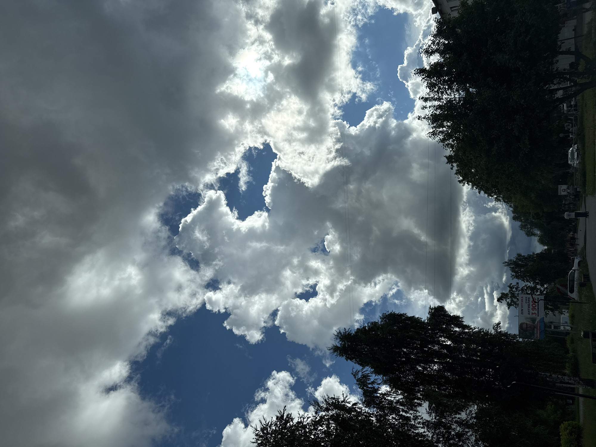 The image displays a vibrant daytime sky characterized by a dramatic interplay of bright white cumulus clouds and darker grey cloud formations. Patches of clear blue sky are visible, with the sun brightly illuminating sections of the clouds, suggesting a partly cloudy day. Several thin utility lines crisscross the sky, adding an artificial element to the natural expanse.
Below the sky, a dense line of tall, dark green trees forms a prominent horizontal band, silhouetted against the bright backdrop. These trees appear to line a street or road, which is partially visible on the right side of the frame. Indistinct vehicles are seen along the street, and the upper sections of buildings can be glimpsed behind the tree line, indicating an urban or suburban setting.
A notable detail is a billboard visible above the trees on the right side. It features a man's face and clear Cyrillic text advertising an optician. The text reads "ЗЕМ ОПТИКА" (ZEM OPTIKA), "очки" (glasses), and "АНТИБЛИК" (anti-glare), with a price of "3 900₽" (3900 rubles) also displayed. The scene captures a moment of dynamic weather and everyday street life in Chaikovsky, Russia.