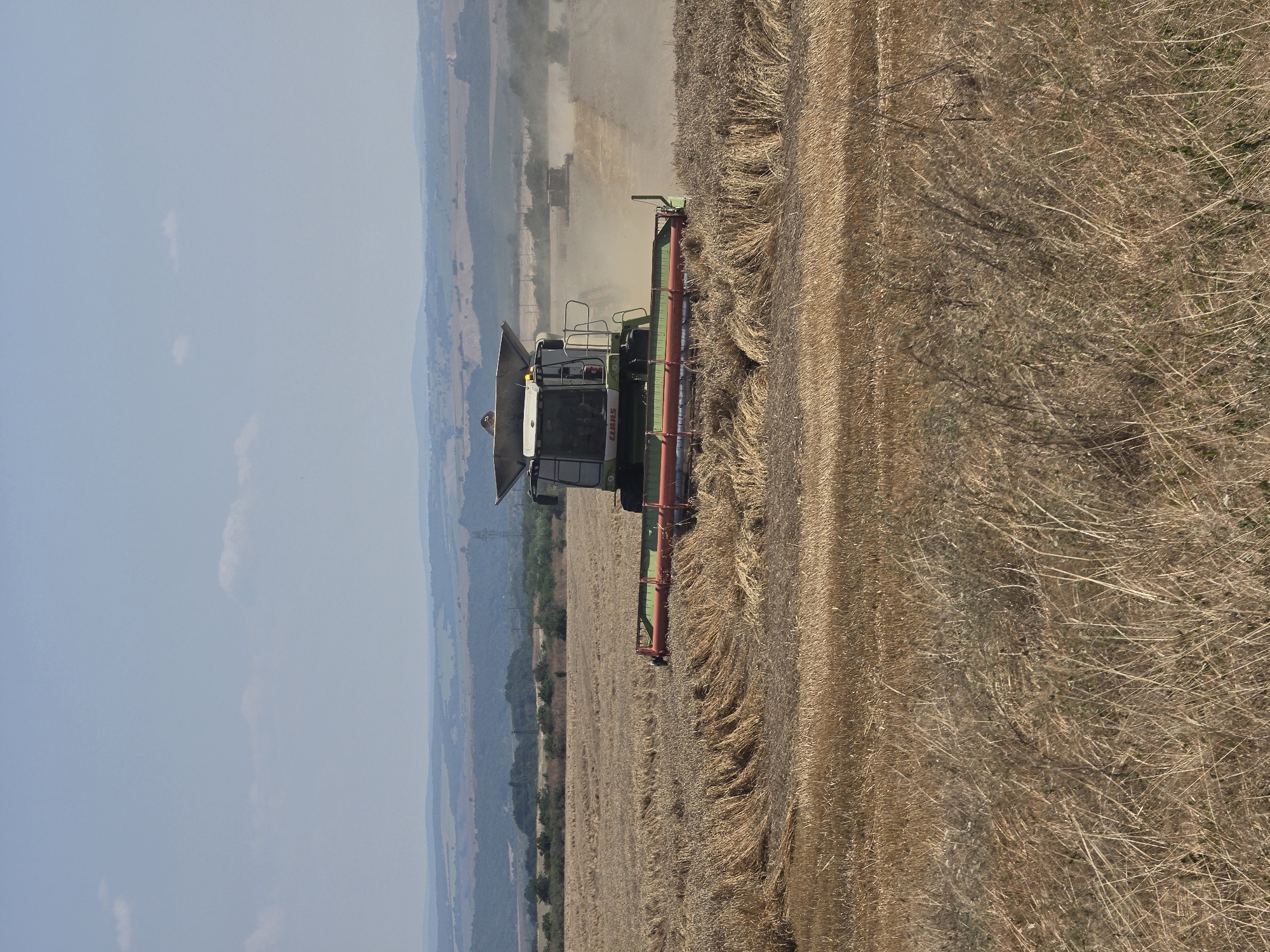 This is a vertical, eye-level, medium shot of a combine harvester working in a field of harvested wheat under a clear, light blue sky with a few scattered white clouds. The combine, a Claas model, is green and white and is positioned in the center of the frame, moving from left to right. The header of the combine, which cuts the wheat, is red and green. The field is a golden brown, with swaths of cut wheat visible in front of the machine and stubble behind it. In the background, rolling hills stretch to the horizon, dotted with trees and some agricultural infrastructure, including power lines. Another combine harvester is visible in the middle ground, kicking up dust as it works. The scene depicts agricultural activity, likely during harvest season, in or near Dobrinovo, Bulgaria.