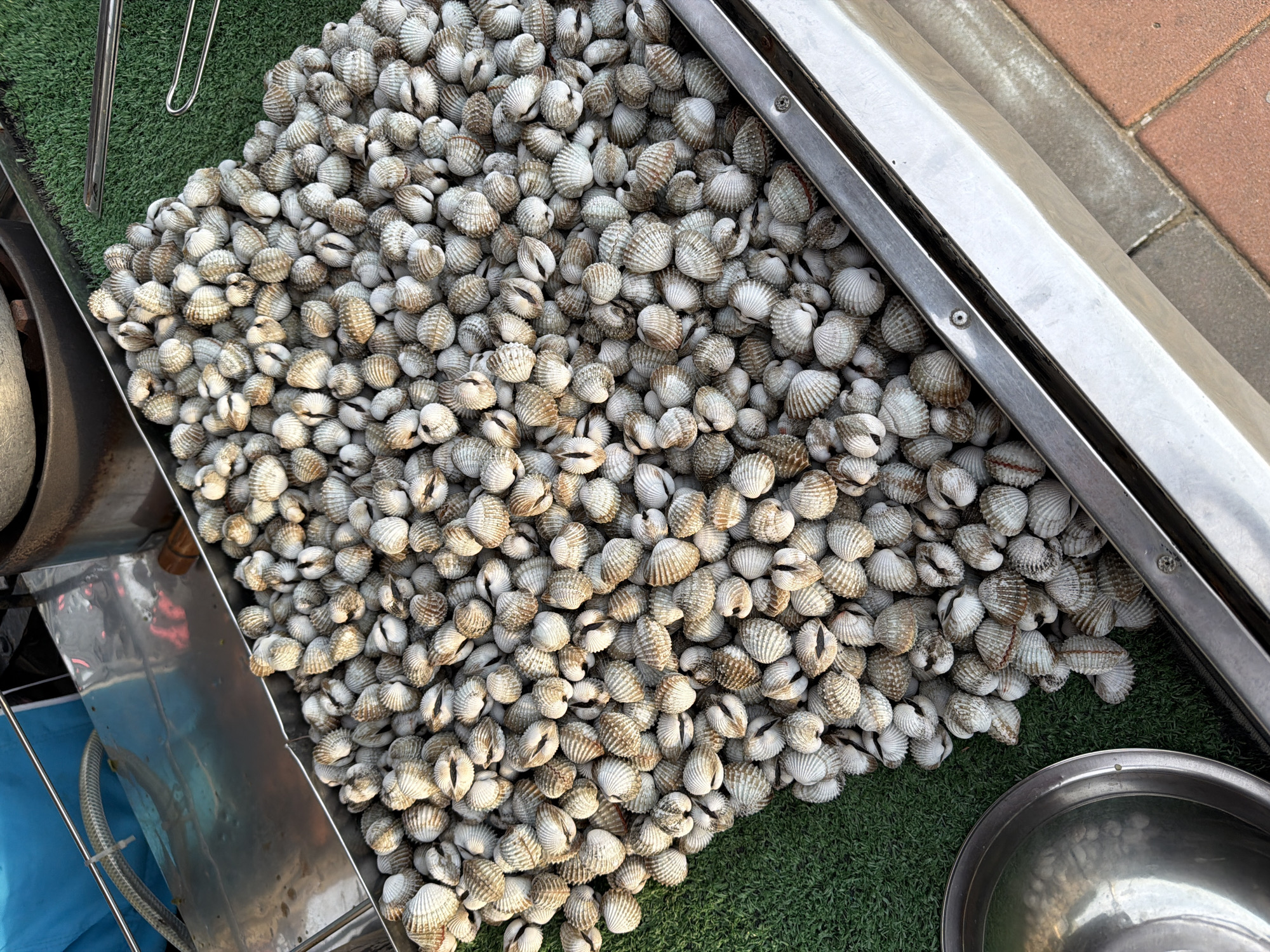 The image shows a large metal tray filled with numerous cockles. The shells are mostly white with brown striations and appear freshly harvested. The tray sits on artificial green turf alongside metal cooking equipment. A stainless steel bowl is visible near the bottom right corner. Adjacent to the tray, there is an area paved with red bricks. Based on the presence of cockles and cooking equipment, the location is likely a street food vendor in Pattaya City, Thailand.