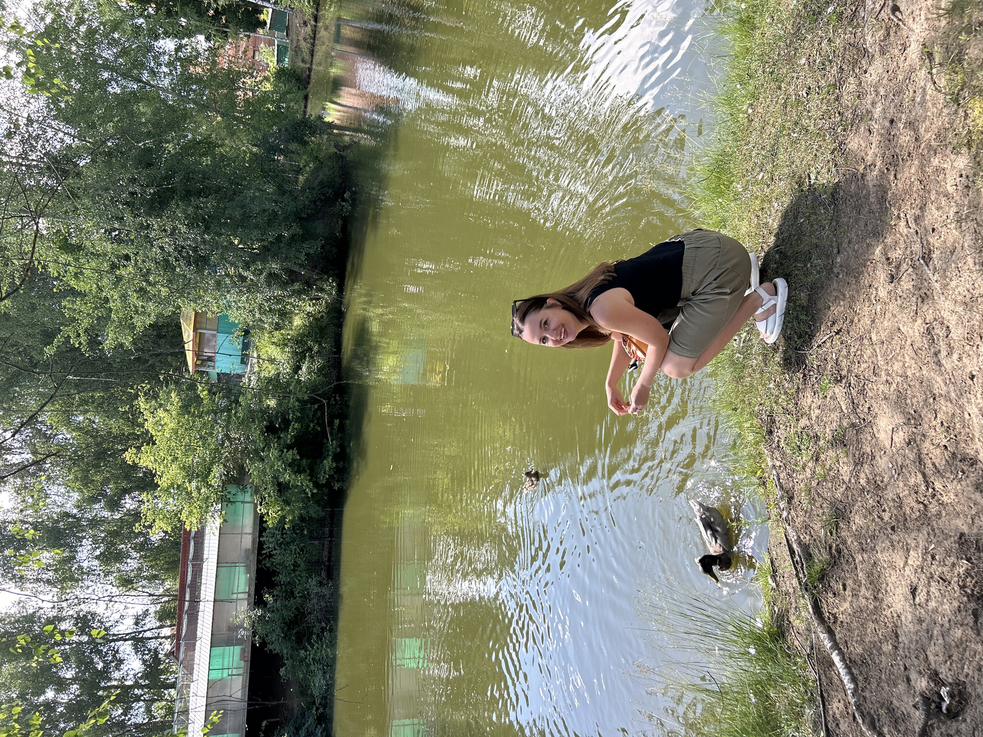 The image shows a young woman kneeling on the grassy bank of a pond, reaching out towards two ducks swimming in the murky green water. She is wearing a black tank top and olive green shorts, with white sandals. Her hair is brown and she is smiling at the camera. The pond is surrounded by trees and vegetation, and in the background, there are buildings that appear to be part of a park or recreational area. The sun is shining, casting a shadow of the woman on the ground, suggesting it is daytime. The overall scene evokes a peaceful and pleasant outdoor setting.