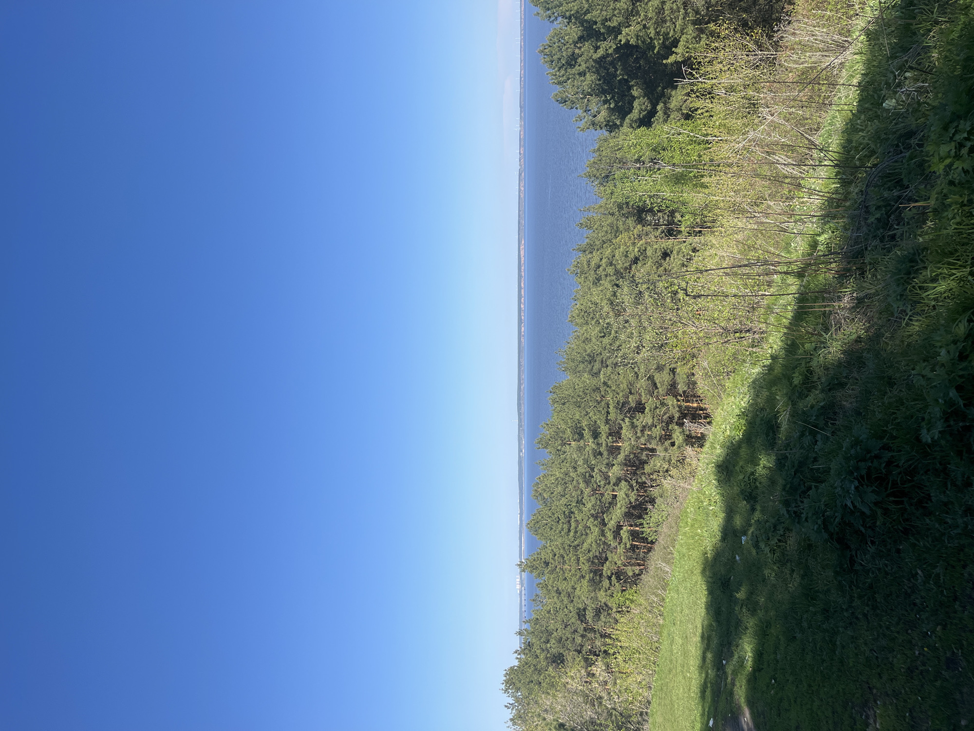 The image presents a view from a high vantage point overlooking a body of water, possibly the Volga River, and the opposite shoreline. The left side of the image is dominated by a clear blue sky, indicating a sunny day. On the right, a mix of trees and vegetation covers the foreground slope. The body of water stretches across the middle ground, with the distant shoreline visible. The photo appears to be taken from a natural viewpoint within a green area of Ulyanovsk, Russia. Details of specific buildings or structures are not clearly visible. The environment suggests a park or natural reserve area within the city.