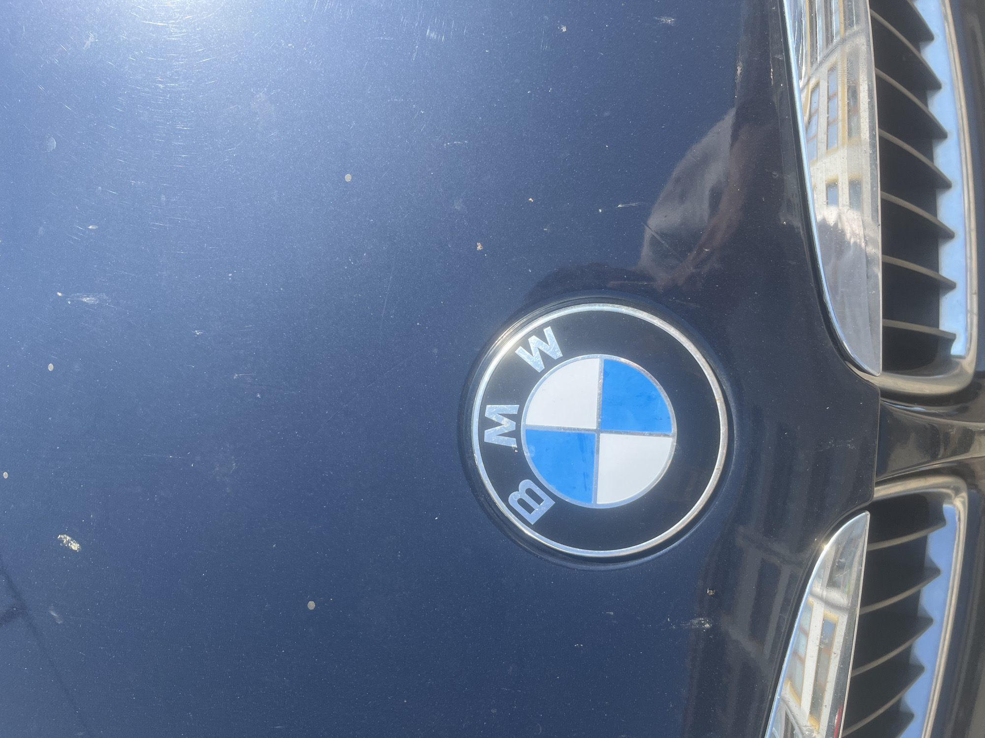 A close-up, slightly angled shot captures the front hood of a dark blue BMW car under bright sunlight. The prominent BMW emblem is positioned off-center towards the lower right. The circular logo features a black outer ring inscribed with the white letters "B," "M," and "W," surrounding a quartered inner circle with alternating light blue and white sections.
The car's dark blue paint exhibits visible dust, dirt, and faint surface scratches or swirl marks, particularly noticeable across the hood. A strong sun glare is present on the upper left portion of the hood. To the right of the emblem, a section of the car's chrome-finished grille with vertical slats is visible.
Notable details include clear reflections of a multi-story building with numerous windows on both the shiny chrome of the grille and faintly on the car's hood, indicating an urban setting like Varna, Bulgaria. A dark, indistinct reflection, possibly of a person or another object, can also be seen on the upper right area of the hood. The bright lighting suggests it is daytime with clear, sunny weather. There is no specific activity depicted; the car appears stationary. The only visible text is "BMW" on the car's logo.