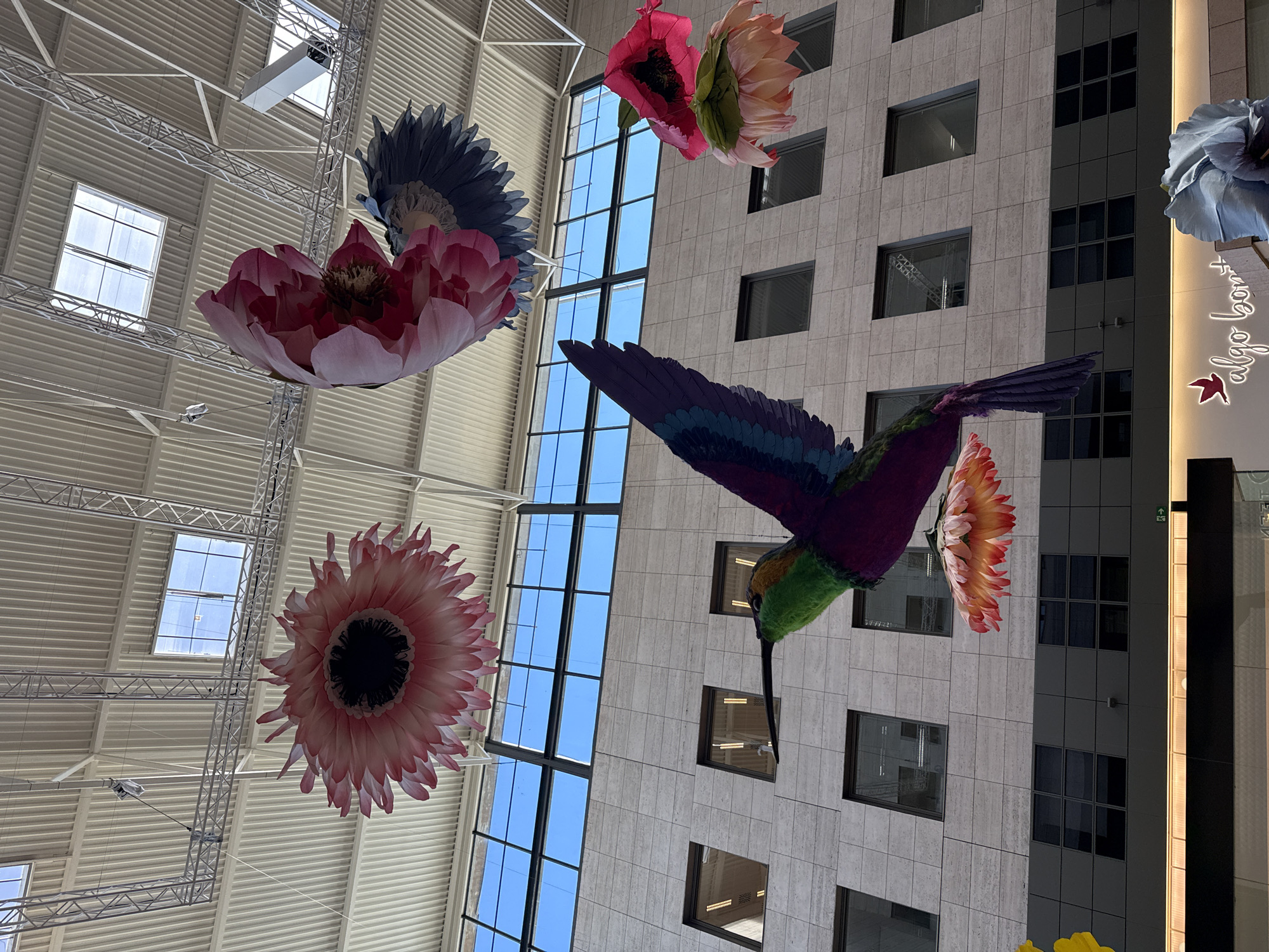 The photograph depicts an indoor scene, likely a shopping mall or large retail space, in Barcelona, Spain. The perspective is looking up towards the ceiling and an adjacent building facade, creating a dynamic composition.
Hanging from the ceiling are oversized artificial floral decorations and a hummingbird sculpture. These include a pink poppy-like flower, a blue and pink flower with feathery petals, a pink daisy-like flower, a red and peach poppy-like flower, and a vibrant hummingbird with green, purple, and peach plumage. The ceiling is a bright, corrugated surface with visible support beams and skylights that reveal a clear blue sky.
The building facade visible through the gaps between the suspended decorations is modern, with a tiled exterior and evenly spaced windows. A sign, partially visible on the right, reads "algo bonit". The overall impression is one of a bright, airy space with playful and oversized decorations.
