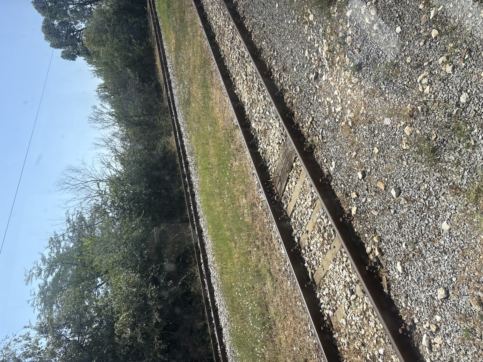 The image shows a close-up view of two parallel railway tracks, likely in Dalgo Pole, Bulgaria, under a clear blue sky. The tracks are made of steel rails, supported by concrete sleepers and a ballast of crushed stone and gravel. The area surrounding the tracks is covered in dry grass and scattered small white wildflowers. Beyond the tracks, a dense line of green trees and bushes forms a natural barrier. The scene suggests a rural or semi-rural setting, possibly outside of the main urban area of Dalgo Pole. There are no people or vehicles visible in the image. The overall impression is one of a quiet, natural landscape with infrastructure.