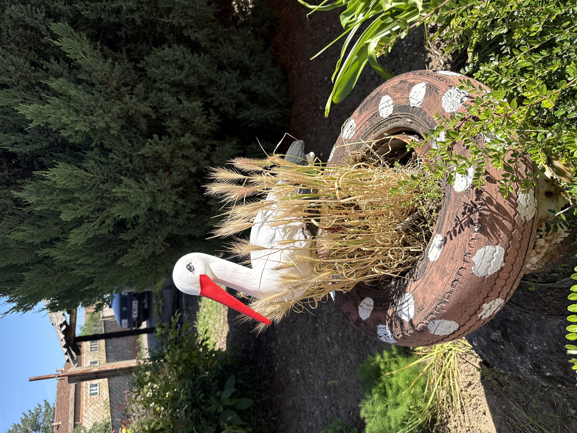 The image shows a yard in Valchedram, Bulgaria. A painted brown tire with white polka dots serves as a planter. Inside the tire are dried wheat stalks and small green plants. Beside the tire is a white stork figurine with a red beak. In the background is a conifer tree, a building, and a car behind a fence.