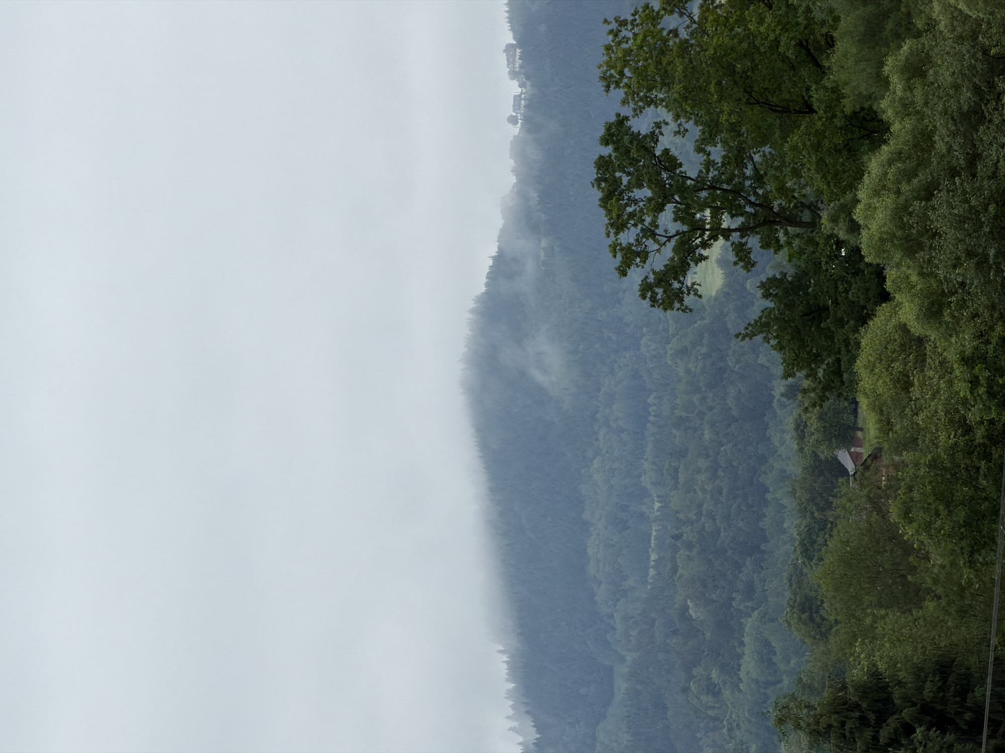 The image depicts a misty, overcast landscape with rolling hills covered in dense evergreen forests. In the distance, on the crest of a hill, a small cluster of buildings can be seen peeking through the fog, suggesting a small settlement or hamlet. The foreground is dominated by lush green trees, with some larger, more mature trees in the mid-ground. The overall impression is one of a serene, natural environment, possibly on the outskirts of Męcina, Poland, given the context. There are no people or discernible human activities present in the scene. The weather appears damp and cool, contributing to the atmospheric and slightly melancholic mood.
