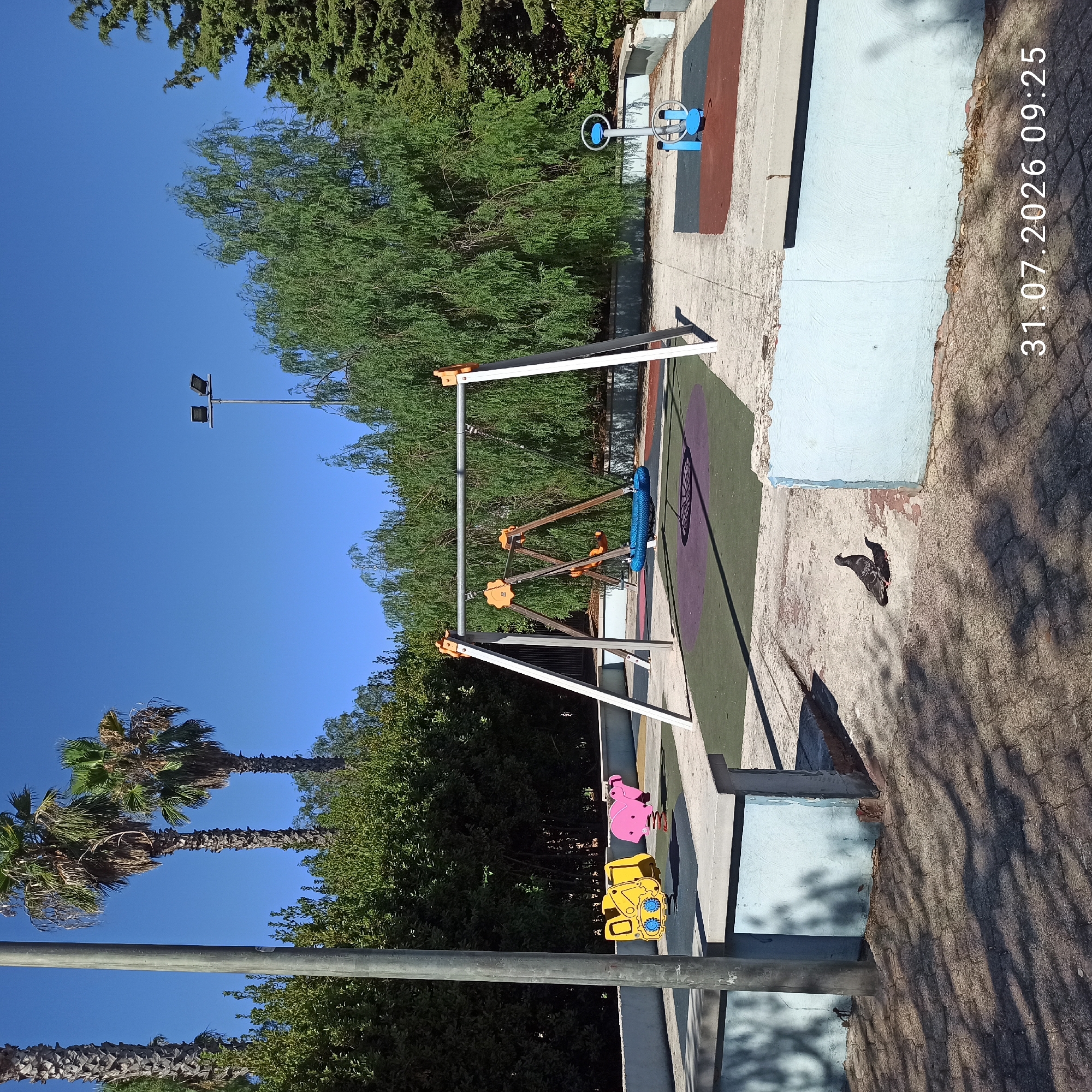 The image captures a playground area in Modugno, Italy, bathed in bright daylight under a clear blue sky. Dominating the scene are several pieces of playground equipment, including a swing set with a blue net seat, two individual swings, and spring riders shaped like a yellow bulldozer and a pink elephant. The playground surface is a mix of green, purple, and dark grey rubber mats.
Surrounding the playground are lush green trees, including palm trees and other deciduous varieties, creating a shaded and natural environment. A metal pole with two stadium lights stands tall in the background, suggesting the area might be used after dark. The playground is bordered by light blue concrete walls.
In the foreground, two pigeons are present on the paved ground, with one standing and the other nestled below it. The pavement is made of interlocking stones, casting dappled shadows from the surrounding trees. A concrete bench or low wall is visible on the right side of the image. A timestamp at the bottom right corner reads "31.07.2026 09:25", indicating the date and time the photograph was taken. The overall atmosphere is tranquil and suggests a public recreational space.