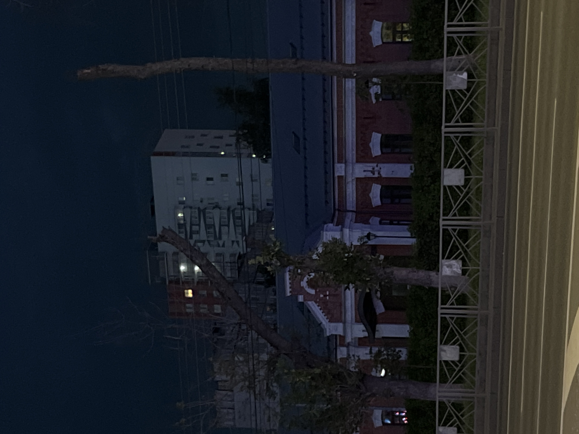 The image captures a nighttime view of a street in Nizhny Novgorod, Russia. In the foreground, a multi-lane asphalt road with white markings is visible. Behind the road, a grey metal fence with a decorative geometric pattern separates it from a sidewalk and a row of dark green bushes. Beyond the bushes, a low-rise brick building with white decorative trim and arched window frames stands out. The building has a dark roof and appears to be illuminated from within some of its windows. Behind this building, a taller, multi-story apartment building with numerous windows, some lit, rises into the dark sky. The sky itself is a deep, dark blue, indicating the late hour. Two bare, slender trees with sparse branches stand prominently in front of the brick building. The overall scene suggests a quiet urban environment at night, with a mix of older and modern architecture.