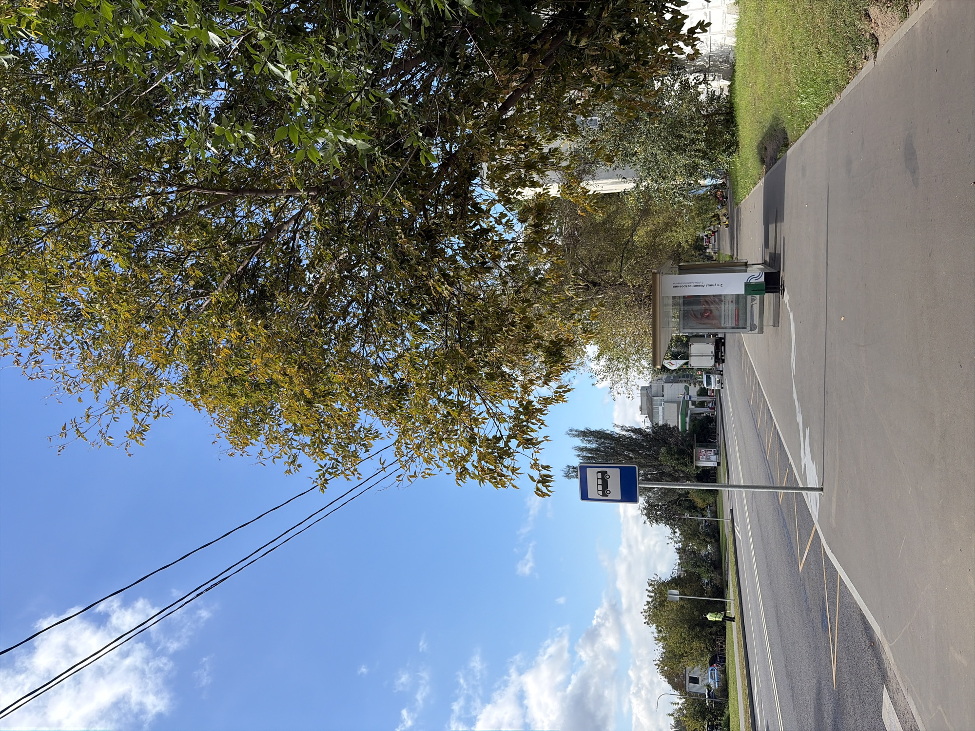 A street scene in Moscow, Russia, shows a bus stop on a paved sidewalk next to a multi-lane road. The bus stop features a modern shelter with glass panels and an advertisement inside. A bus stop sign is prominently displayed. A large tree with yellowing leaves partially shades the sidewalk. Power lines are visible in the sky, along with scattered clouds. On the road, vehicles are moving, including a white truck and a blue car in the distance. A person in a yellow vest is standing on the side of the road. The environment appears to be an urban setting with buildings and greenery lining the street. The scene is captured on a clear day with bright sunlight.