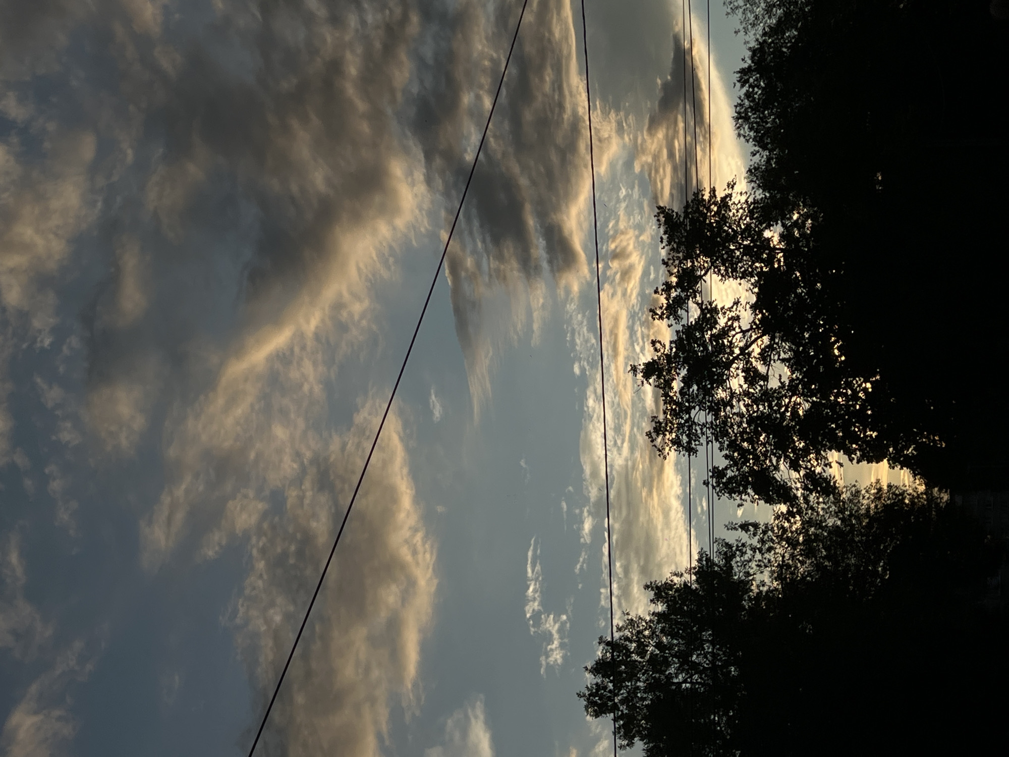 The image shows a silhouetted treeline against a cloudy sky at sunset or sunrise. Three dark power lines are visible stretching horizontally across the frame. The sky is a mix of blue, grey, and warm, golden hues, indicating the presence of the sun below the horizon. The trees are dense and dark, obscuring any background details. The overall scene is a natural landscape with man-made elements, suggesting an outdoor setting within or on the outskirts of an urban area. No specific landmarks or identifying features of Ulyanovsk, Russia, are discernible in this image.