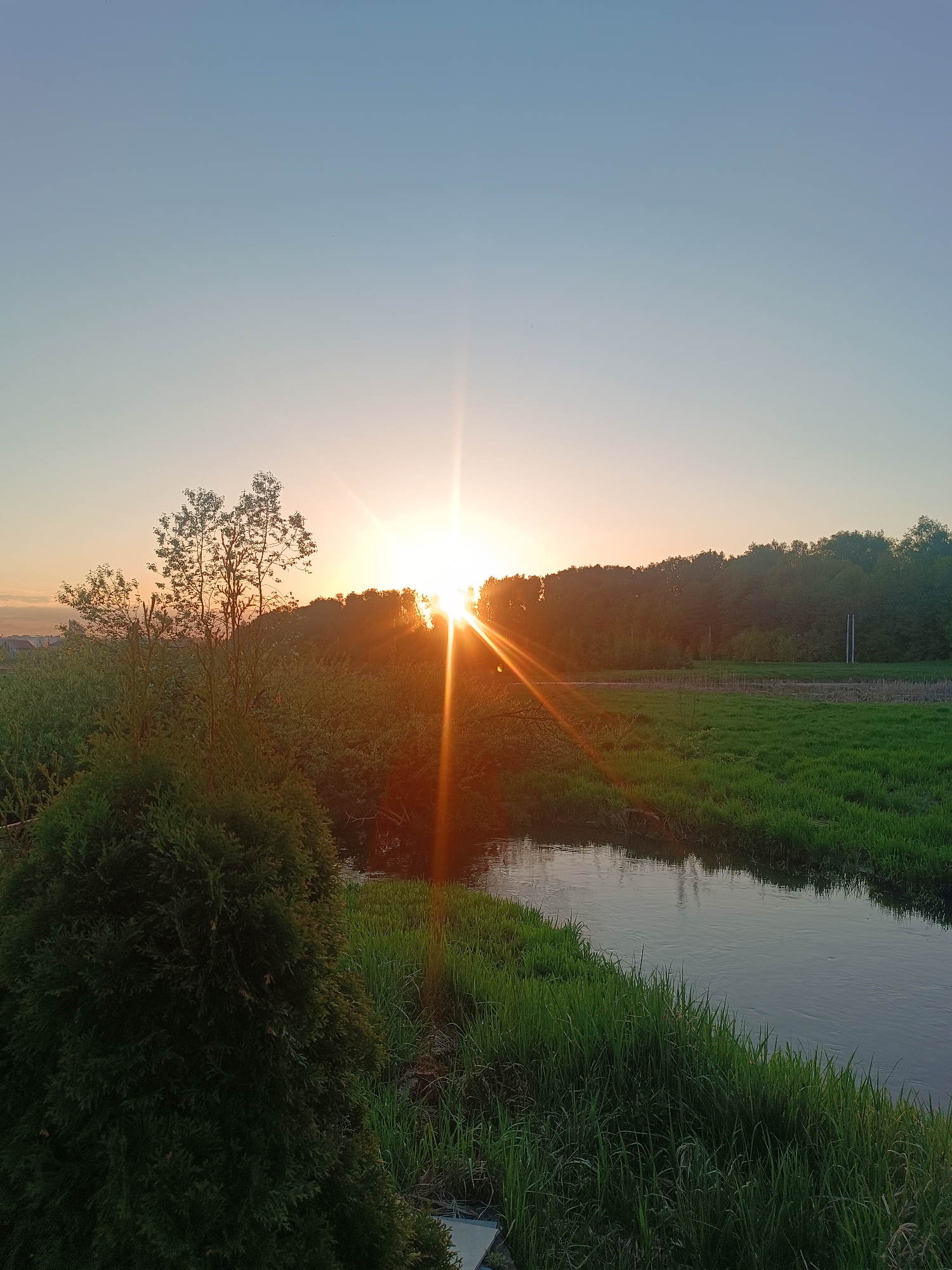 The image depicts a landscape at sunset in or near Motyakovo, Russia. A river or stream runs through a grassy field, with taller grasses lining the banks. Beyond the field, a line of trees marks the horizon. The sun is setting behind the trees, creating a strong glare and sunbeams. In the foreground, a conifer bush is visible on the left. The sky is a gradient of light blue to orange near the horizon. A few buildings are just visible on the left, suggesting a nearby town or village. There are no people visible in the frame.