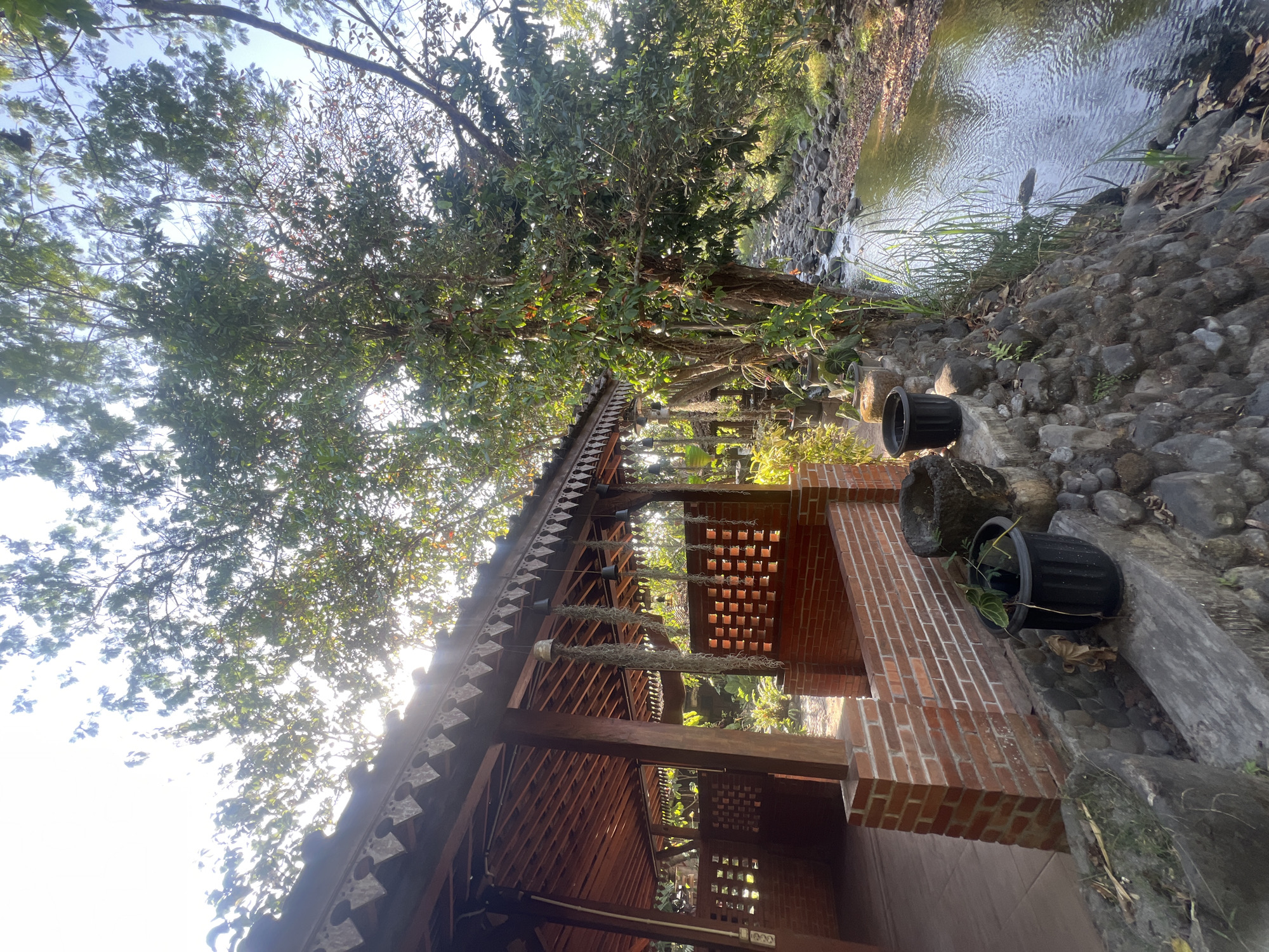 The image depicts an outdoor scene with a covered wooden pavilion and a small river. The pavilion, constructed with red brick walls and a wooden roof, features decorative wooden trim along the eaves. Hanging from the ceiling are strands of moss or similar vegetation and several dark, bell-shaped objects. Inside the pavilion, the floor appears to be tiled or paved, and the walls have brickwork with square cutouts.
Adjacent to the pavilion, on the right side of the image, a tree with lush green foliage stands beside a rocky river. The river flows gently over a bed of stones, and the water reflects the sunlight and surrounding greenery. The riverbank is lined with rocks and vegetation, including tall grasses.
In the foreground, several potted plants are visible, including a black plastic planter containing a leafy plant. Next to it are two stone basins, one appearing to hold some dry leaves and soil. The overall setting suggests a tranquil, natural environment, possibly a park or a resort area. The location is identified as being in the Tlogoadi area of Indonesia.