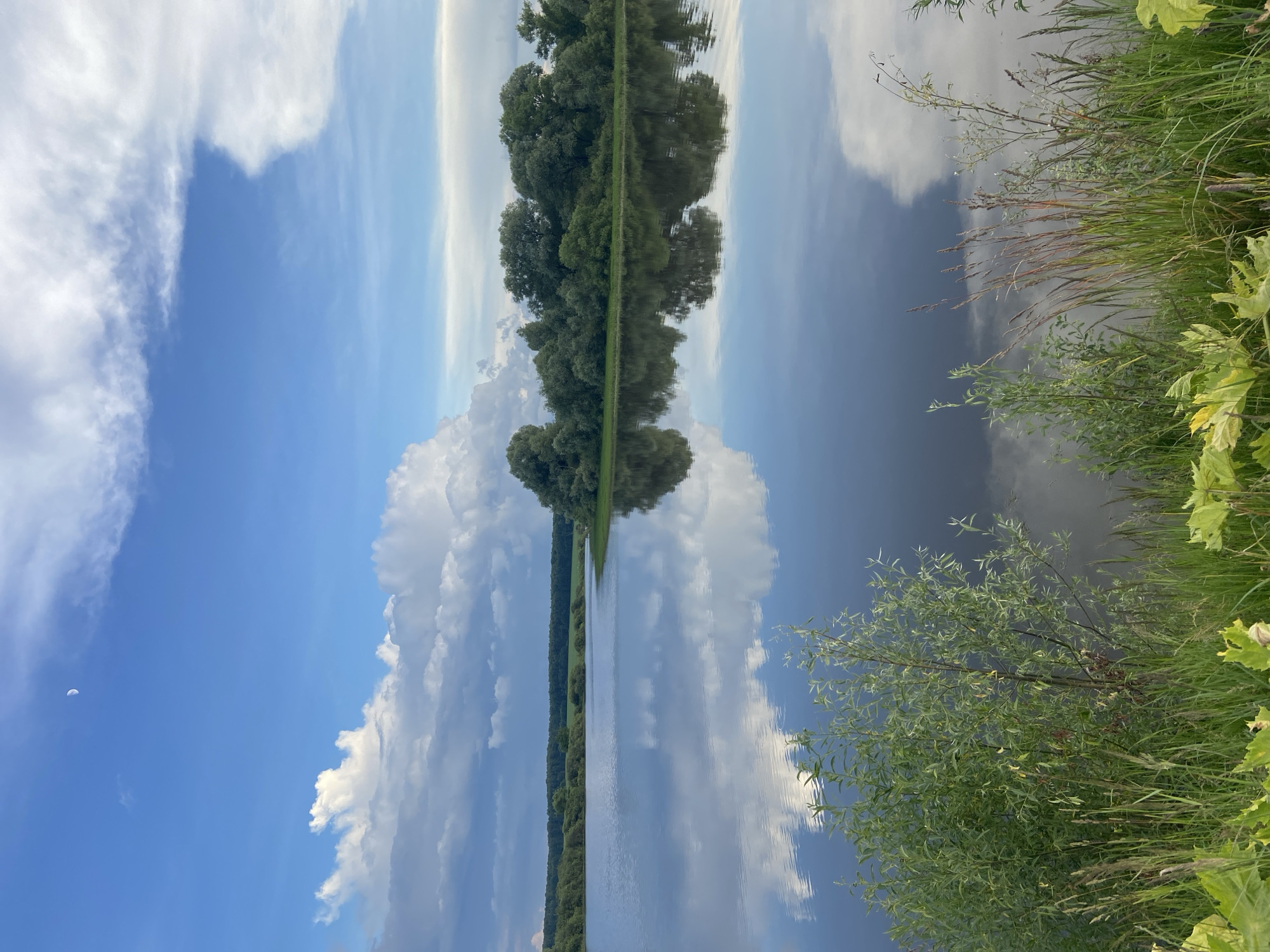 This is a vertical, reflected landscape photograph taken outdoors. The main subjects are a body of water, a line of trees, and a blue sky with clouds. The image is a reflection, with the top half appearing to be the sky and the bottom half being the reflection of the sky, trees, and clouds on the water. The trees form a dense green line along what appears to be the far bank of the water. In the sky, there are white, fluffy clouds, and a crescent moon is visible in the upper left portion. The water is still, creating a clear reflection. On the right side of the image, there is tall green grass and some leafy plants. The lighting suggests it is daytime, possibly late afternoon or early evening, given the brightness of the sky. The setting appears to be natural, likely a lake or a wide river, in a rural or natural environment. There is no visible text in the image.