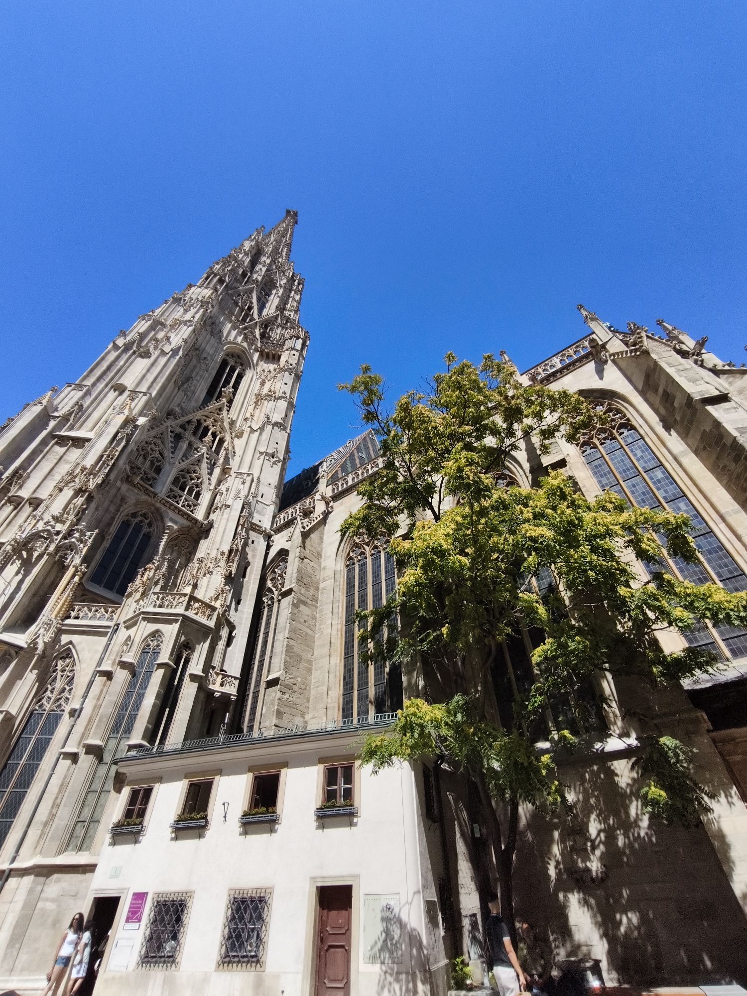 The image captures a low-angle view of St. Stephen's Cathedral in Vienna, Austria. The soaring Gothic architecture of the cathedral dominates the frame, with its intricate stone carvings and tall spires reaching towards a clear blue sky. A large, leafy green tree stands prominently in the foreground, partially obscuring the side of the cathedral and casting shadows on the building. In front of the cathedral, a lower, lighter-colored building with windows and a doorway is visible. Two people, a woman in a white top and denim shorts and another person in a white dress, are walking near the entrance of this lower building. Another person in a dark shirt and light pants stands to the right of the frame, facing away from the camera. The scene appears to be a sunny day, as indicated by the bright sky and strong shadows.