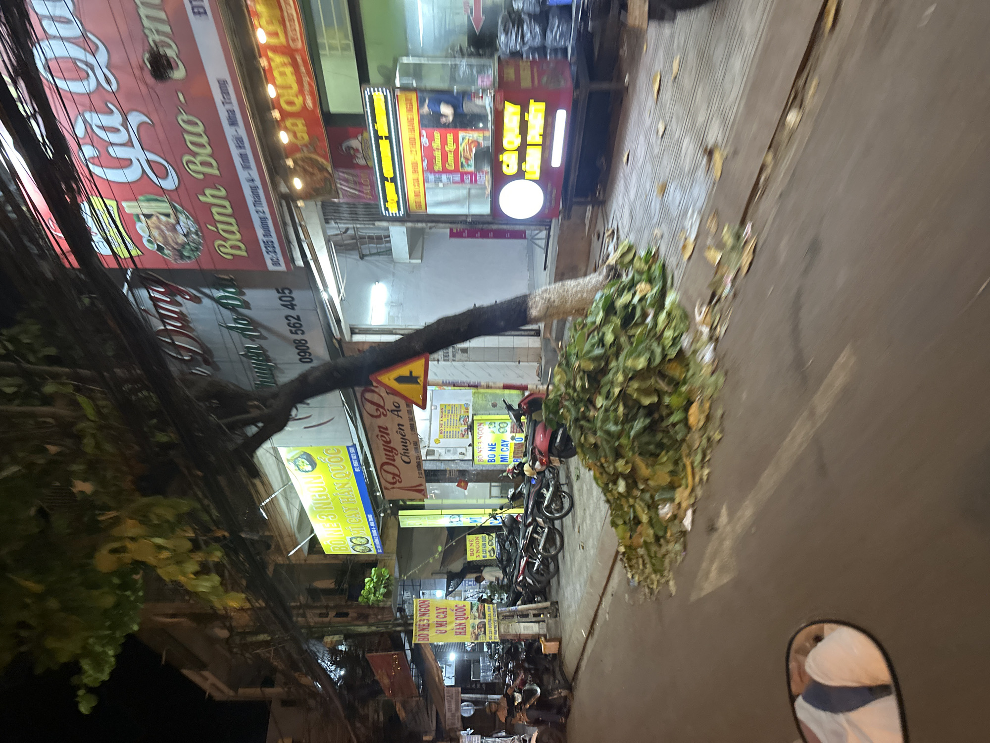 The image depicts an evening scene in the Bac Nha Trang Ward, Vietnam, likely taken from the perspective of a person on a motorbike. The street is lined with businesses, their signs illuminated. "Banh Bao" is prominent on one sign. Motorbikes are parked on the sidewalk. A felled tree with dense foliage lies partially on the sidewalk and extends into the street. Utility wires are visible above the street. The motorbike's side mirror is in the lower right corner. Signs display "Bo Ne 3 Ngon Mi Cay Han Quoc" among the various establishments. The area code visible on a sign is 0908.