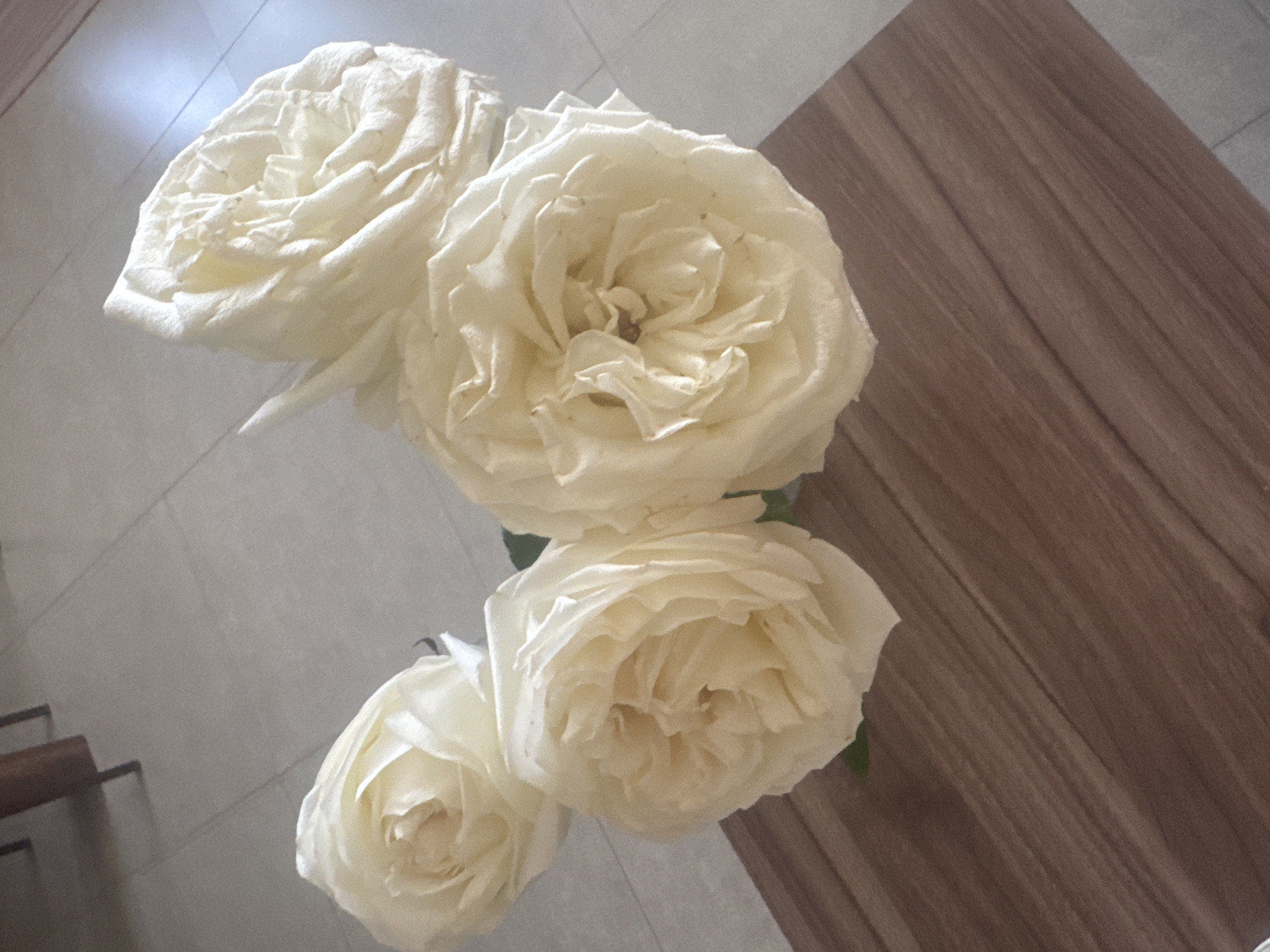 A high-angle shot reveals four white roses in full bloom. The flowers are positioned to the left of a wooden surface with brown tones. Adjacent to the wooden surface, a neutral-colored tiled floor is visible. The scene suggests an indoor setting, but the exact location or activity is not discernible from the image.