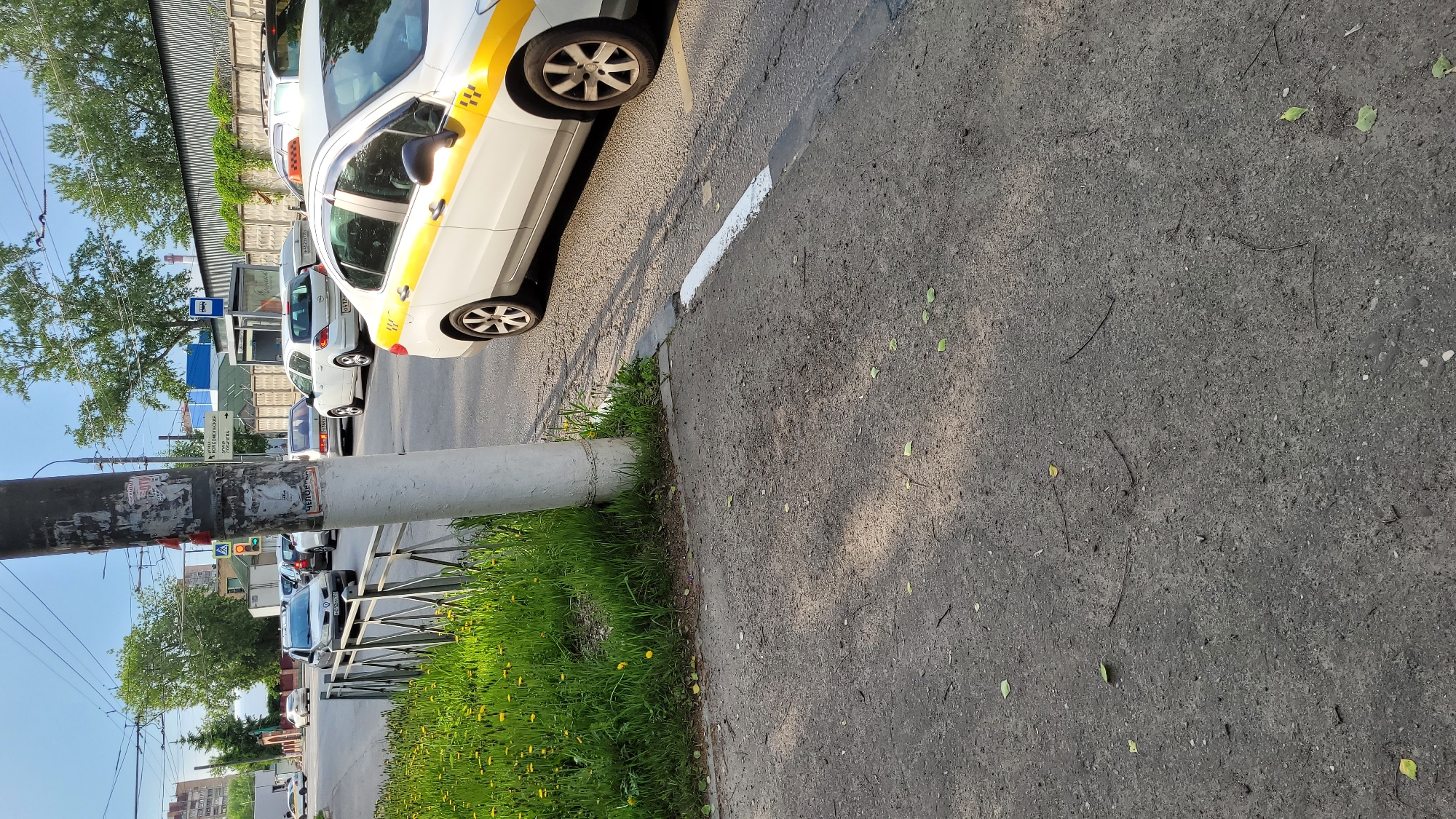 The image shows a city street in an unknown location. A white taxi with a yellow stripe is parked on the side of the road, next to a white line. Behind the taxi, there are several other white cars parked. There is a bus stop sign and a traffic light in the background. The sidewalk is paved and has a patch of green grass with dandelions growing along the edge. A utility pole is present, with peeling posters and tape. The sky is blue and the day appears to be sunny.