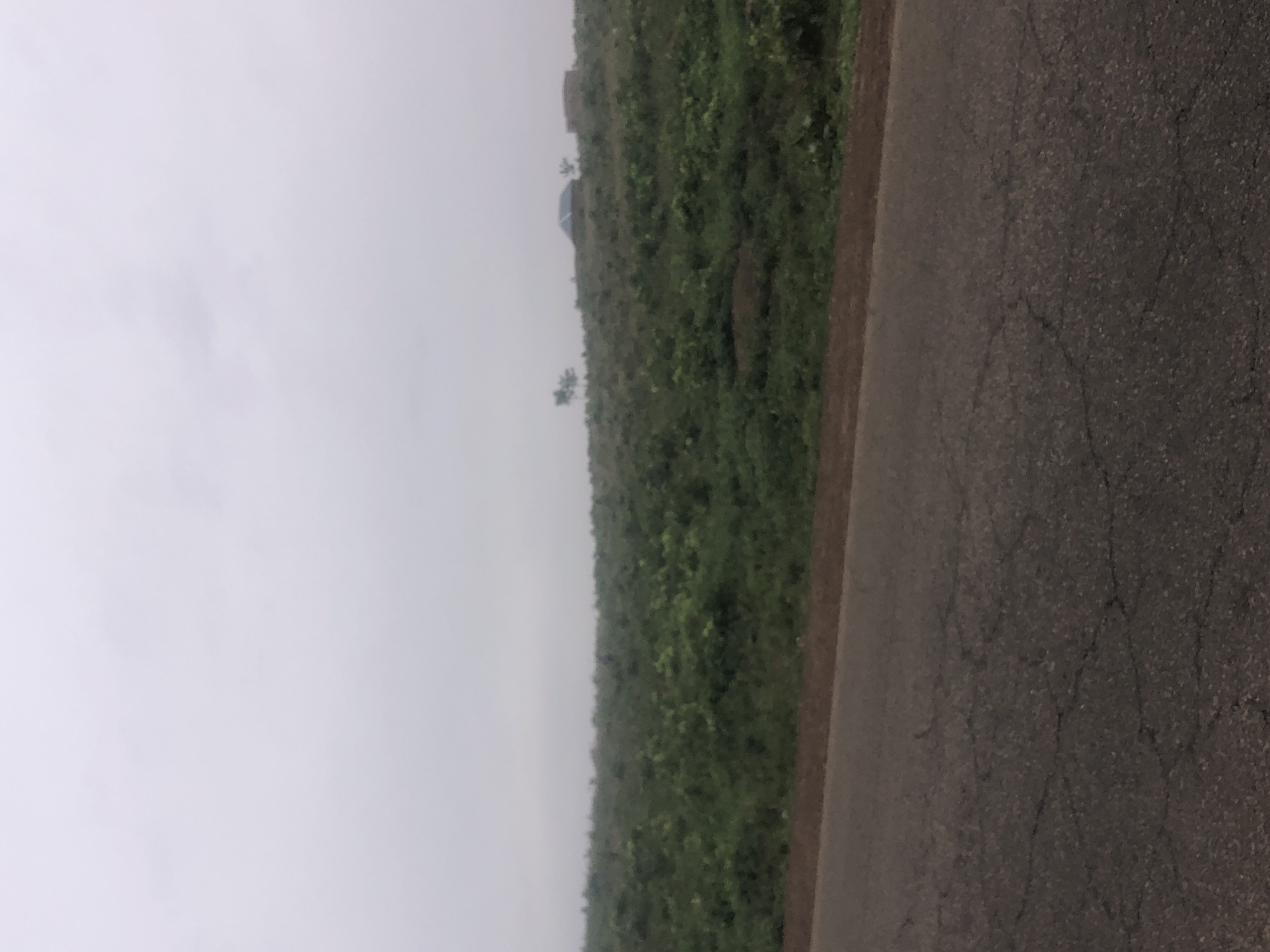 The image captures a rural landscape near Kashere, Nigeria, on an overcast day. A paved road, showing signs of wear with visible cracks, occupies the foreground. Beyond the road, a dense field of green vegetation stretches towards a hazy horizon. In the distance, several structures are discernible: a building with a dark, pitched roof, and a couple of other rudimentary buildings, likely rural dwellings or storage units. A few scattered trees punctuate the landscape, adding to the sense of a sparsely populated area. The overall impression is one of a quiet, undeveloped rural setting under a uniformly gray sky.
