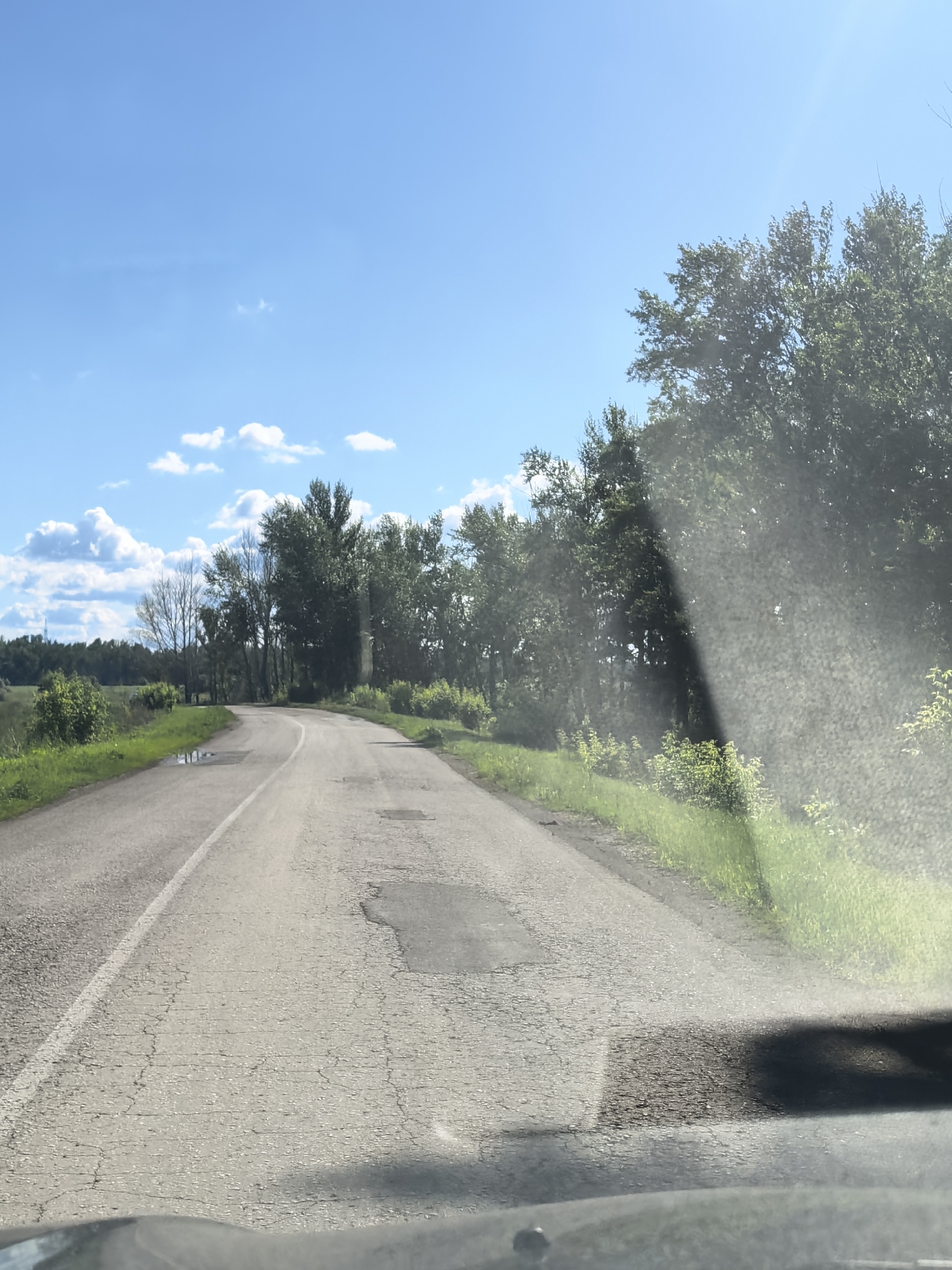 This image captures a view of a road in the city of Vozrozhdeniye, Russia, under a clear blue sky with scattered white clouds. The road appears to be paved but is in a state of disrepair, with visible cracks and patches. A white line demarcates the lane. To the right of the road, a dense line of trees forms a natural barrier, with lush green grass and smaller bushes growing along the roadside. On the left side of the road, there is also grass and some puddles of water. The overall impression is a rural or semi-rural setting, possibly a road leading out of or into the city. The presence of trees and open sky suggests a natural environment. The photo seems to be taken from inside a vehicle, as indicated by the reflection on the windshield and the dashboard visible at the bottom of the frame. There are no people or animals visible in the scene.