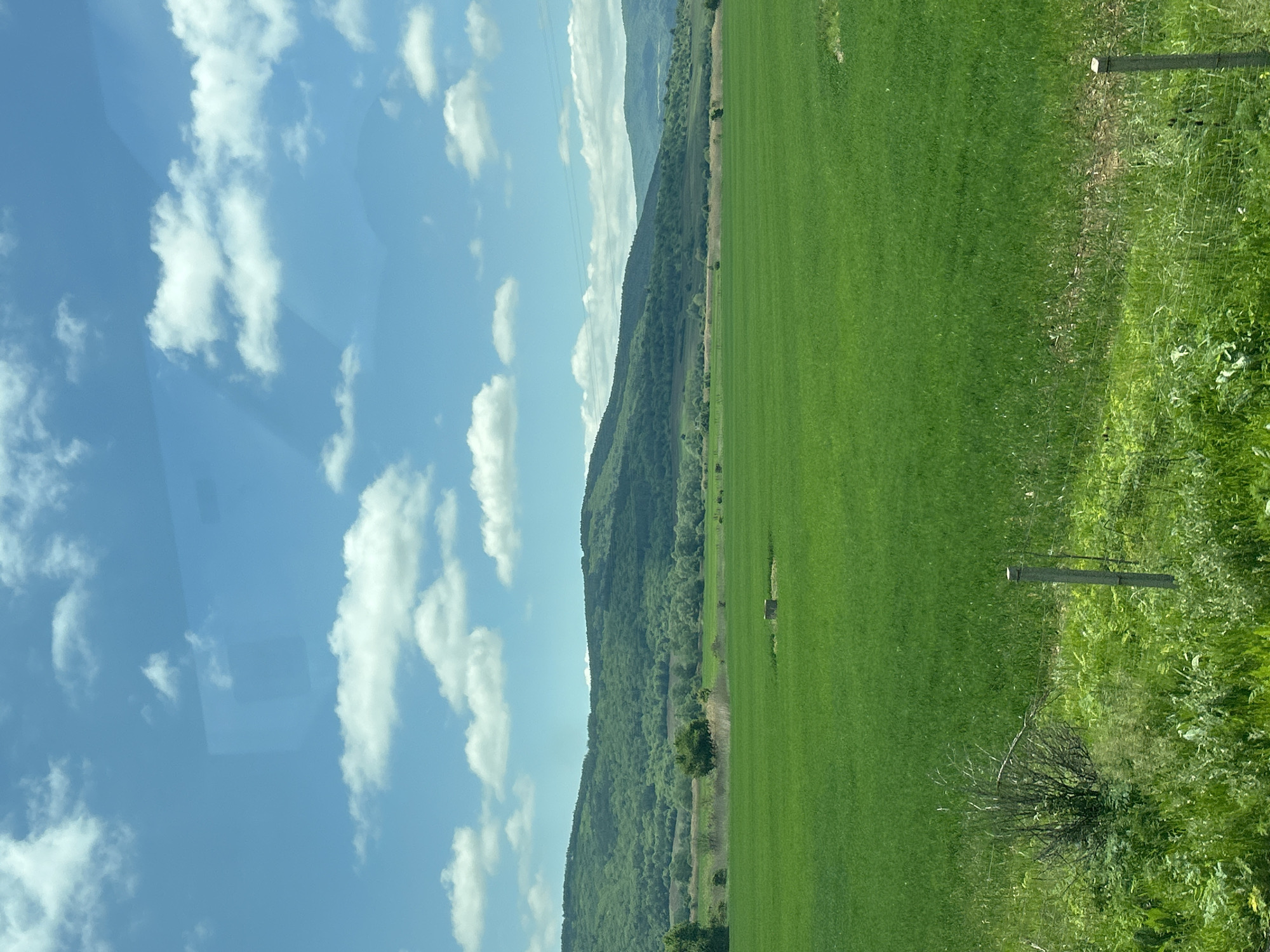 The image depicts a landscape featuring a green field, a mountain range, and a blue sky with white clouds. The field occupies the right portion of the image and shows uniform green grass. Along the field's edge are wooden posts, possibly part of a fence or boundary marker, and taller weeds/vegetation. The mountain range runs along the middle of the image, covered in green trees. The sky occupies the left portion, filled with cumulus clouds against a clear blue backdrop. The location is unknown.