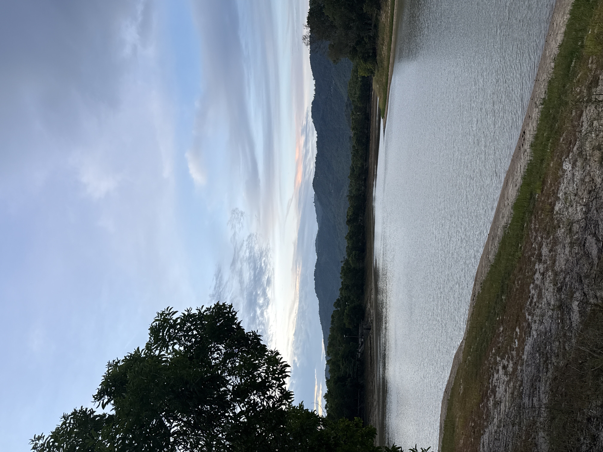 The image depicts a serene natural landscape, likely a reservoir or a large body of water, with a backdrop of lush green hills under a partially cloudy sky. The foreground features a sandy and grassy embankment leading down to the calm water. A large tree with dark green foliage is prominently positioned in the upper left corner, partially obscuring the sky. The middle ground shows a dense line of trees bordering the far side of the water, with rolling hills extending into the distance. The sky exhibits soft hues of blue and gray, with hints of pink and orange suggesting either sunrise or sunset. The scene conveys a sense of tranquility and natural beauty. The image is taken from a high vantage point, looking across the water towards the hills. The location is identified as being in the city of Ko Samui District, Thailand.