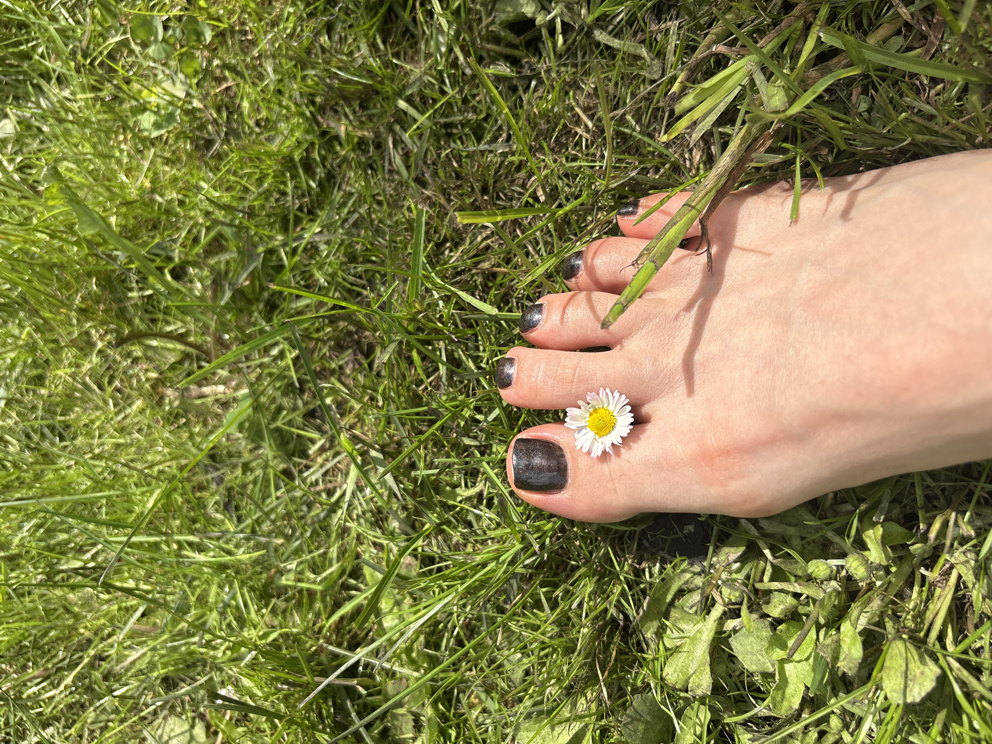 The image shows a person's right foot on green grass. The toenails are painted with a dark, metallic polish. A small white daisy flower rests on the big toe. A single blade of grass lies across the other toes. The location is likely outdoors, and the abundance of grass suggests a lawn or field. It is unknown if this image was taken in the city of Пярэжырскі сельскі Савет, Belarus.