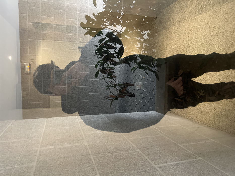 This image captures a complex scene primarily composed of reflections through a glass surface. The main subjects are a person and a potted plant, layered over an interior architectural setting.
On the left side, the reflection of a person's upper body and head is visible, appearing to hold a device, likely a phone or camera, to take the picture. Behind this reflection, an interior wall with rectangular light grey tiles can be seen, along with an elevator call button panel displaying two illuminated lights.
In the center of the image, a reflection of a plant with dark green leaves and some reddish stems dominates, casting a large, distinct circular shadow on the floor below it. Behind the plant, a wall with dark hexagonal tiles is discernible.
On the right, the lower body of the same person is reflected, dressed in camouflage trousers, with a hand visible near the waist. This reflection overlays a textured wall or floor surface that appears light brown or beige.
The floor in the foreground and bottom of the image, where the camera is positioned, features large, light-colored square tiles with visible grout lines. The overall impression is one of multiple overlaid perspectives due to the reflective medium. The strong, defined shadows suggest bright, possibly natural, lighting. No discernible text is visible. The scene is set in Vila Real, Portugal, likely within a building's common area such as a lobby or hallway.