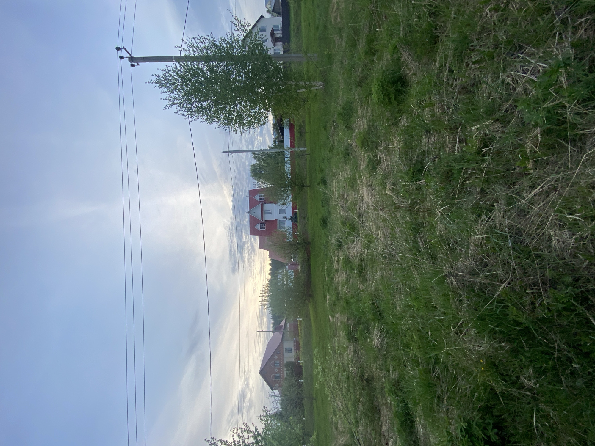 The image depicts a scene in Прикамский, Russia, characterized by a rural or suburban landscape. In the foreground, there is an expanse of tall, unkempt grass interspersed with patches of dry vegetation. Further back, several houses are visible. They appear to be residential homes with red and white color schemes. Power lines are strung overhead, connecting to a utility pole on the left side of the frame. The sky is partly cloudy with a mix of light blue and white. Trees dot the landscape, suggesting a mixed natural and residential environment. The overall impression is of a quiet, perhaps sparsely populated area.
