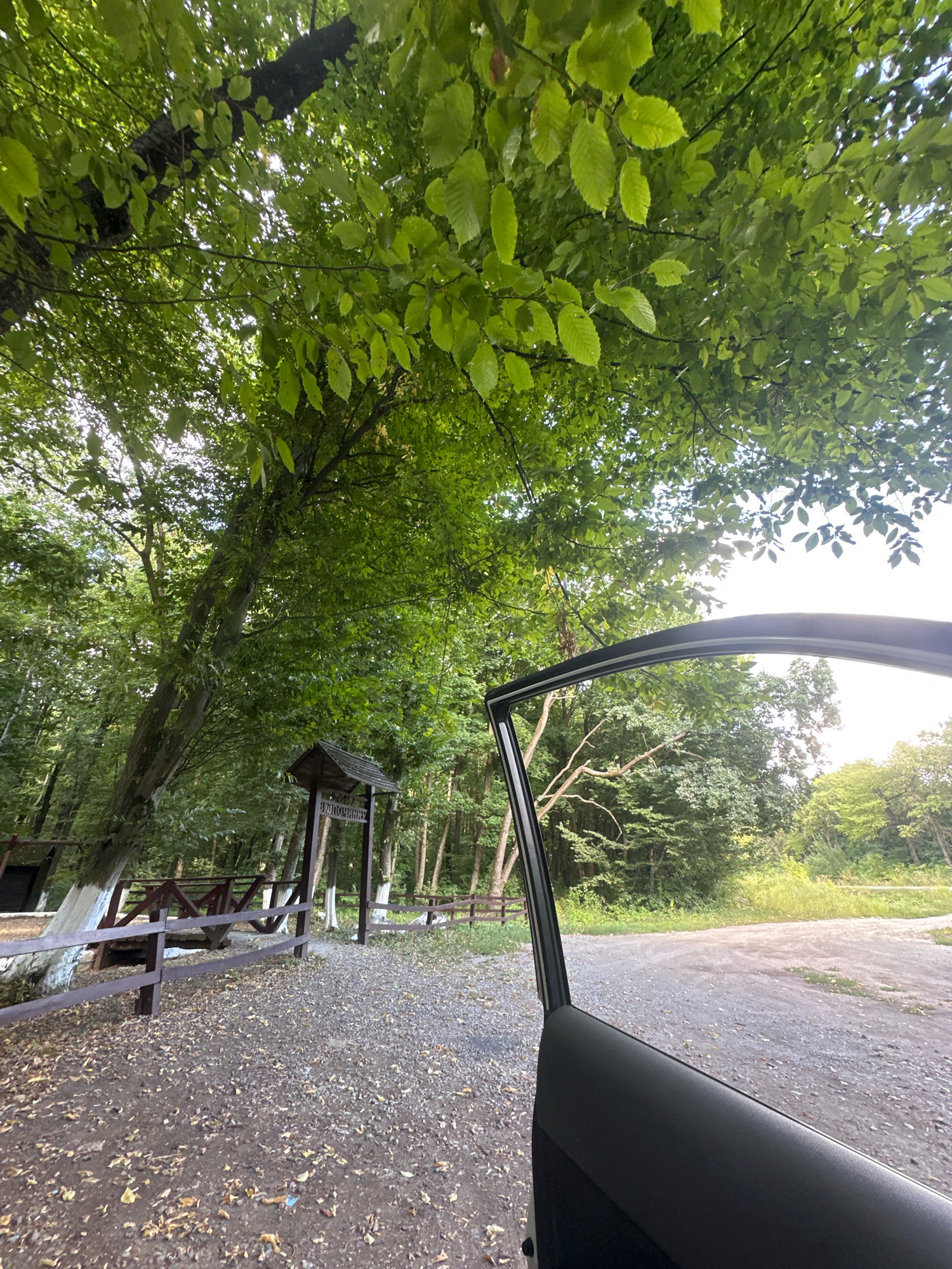 The image shows an open car door looking out onto a wooded area. A gravel path leads to a wooden structure with a pointed roof, labeled with Cyrillic text. A wooden fence runs alongside the path. Trees with dense green foliage overhang the scene. The ground is covered in gravel and fallen leaves. The sky is visible through the leaves, appearing bright. This is a nature area, likely a park or forest.