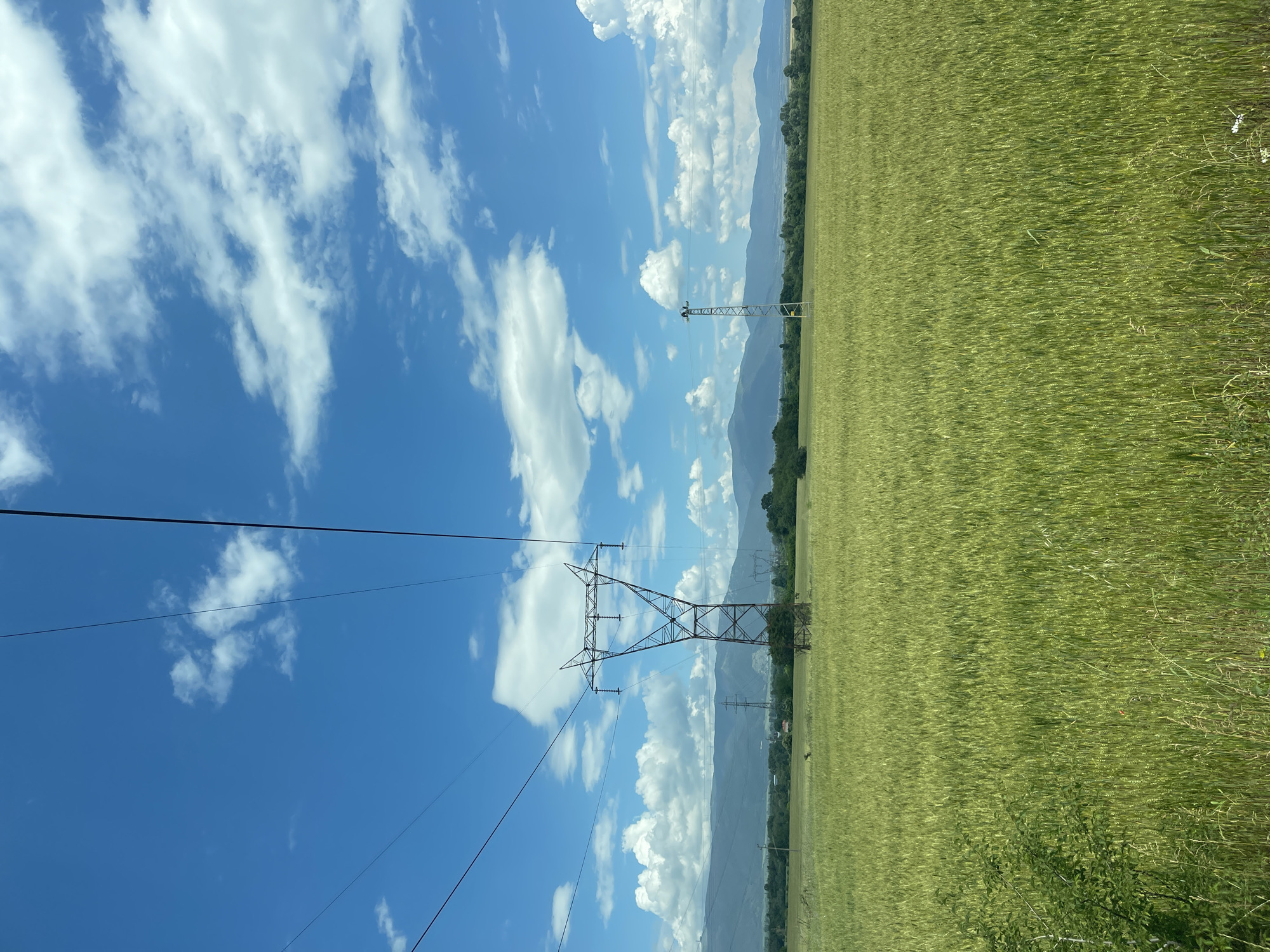 This image captures a wide rural landscape in Dunavtsi, Bulgaria, under a bright blue sky partially covered by white cumulus clouds. The foreground and midground are dominated by an expansive field of vibrant green crops, consistent with grain such as wheat, appearing to be in an early to mid-growth stage. A large, dark brown metal lattice power pylon with a distinctive 'X' shaped top section stands prominently in the mid-left of the field, supporting multiple overhead power lines that traverse the upper portion of the frame. Further to the right, another smaller, lighter-colored metal pylon, simpler in design, is visible. In the distant background, a range of mountains stretches horizontally, appearing muted and hazy, with a band of dark green trees and foliage separating them from the cultivated field. No people or animals are visible within the scene. The lighting suggests a clear, sunny day.