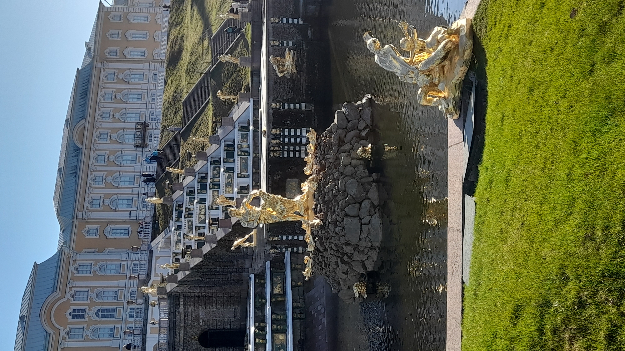 This image, captured in Peterhof, Russia, presents a magnificent outdoor scene featuring a grand palace and an elaborate fountain complex under a clear blue sky.
On the left side of the frame, a multi-story palace commands attention with its stately architecture. The building features a warm yellow facade, contrasted by intricate white decorative trim, pilasters, and cornices. Numerous windows, many with elegant arched tops, punctuate the walls, and several balconies are visible. The palace is topped with a blue or grey roof. Small figures of people can be seen on the balconies and on the grounds near the palace, suggesting visitors exploring the site.
In the center and extending to the right, a sprawling multi-tiered fountain system with a large body of dark water is the focal point. The water, likely a canal or extensive pool, reflects the bright sunlight, creating shimmering patterns. Throughout the fountain complex, numerous gilded statues gleam in the sun. In the immediate foreground and middle, a prominent group of large golden statues depicting classical figures and possibly mythical creatures is situated on a rocky outcrop within the water. Further back, on lower tiers of the fountain, additional golden figures are visible, adding to the opulent display.
To the far right, a vibrant expanse of neatly manicured green grass provides a natural element, bordering the water feature. The clear blue sky and strong sunlight indicate a bright, sunny day, likely morning or early afternoon. The scene evokes a sense of historical grandeur, architectural beauty, and a well-maintained, popular tourist destination. No discernible text is visible within the image.