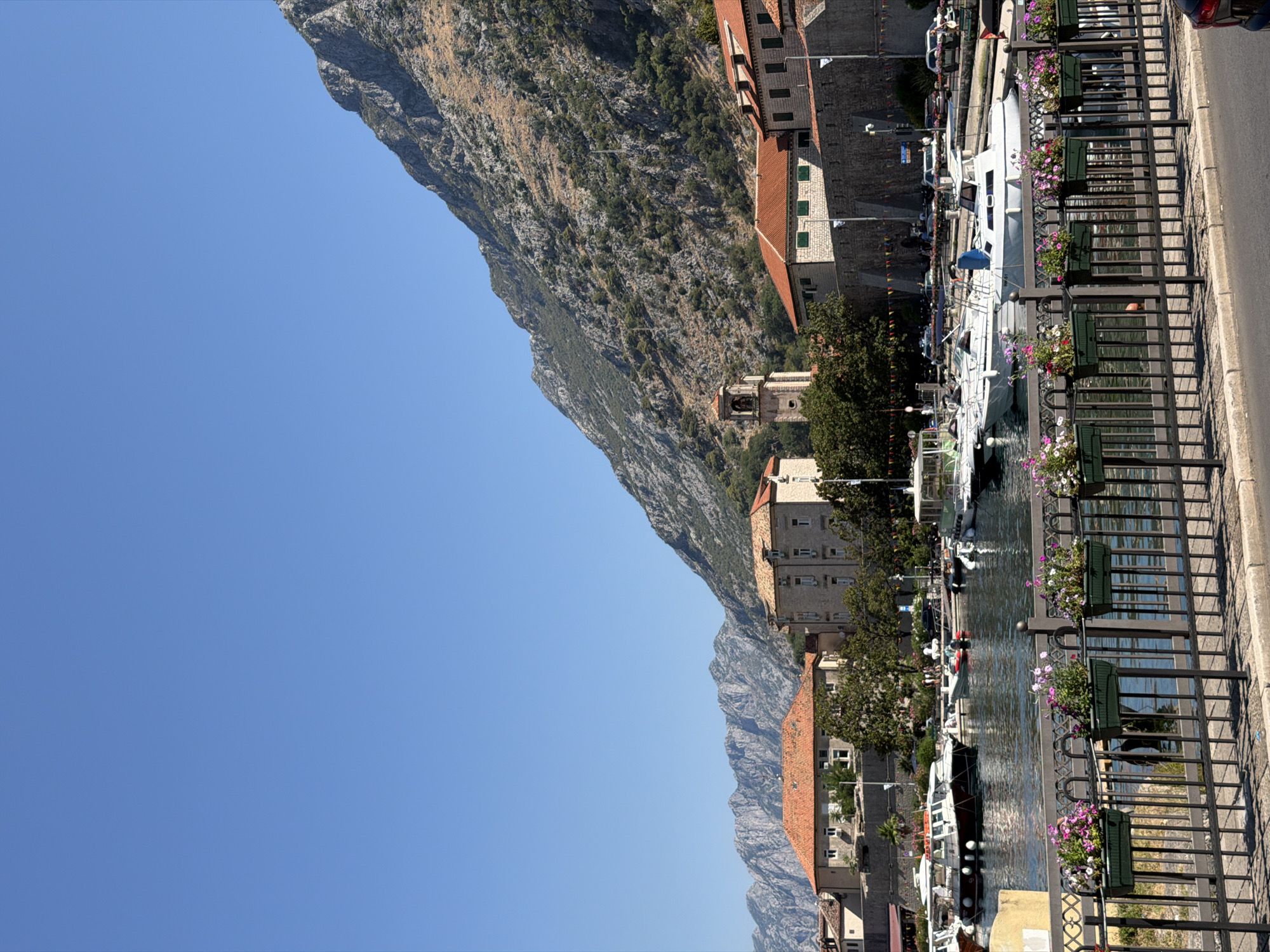 The image depicts a sunny day in the city of Kotor, Montenegro. In the foreground, a black metal railing with hanging flower boxes filled with pink and purple flowers runs along a paved walkway. Beyond the railing is a harbor filled with various boats of different sizes, including several white motor yachts. The water is calm and reflects the clear blue sky.
In the middle ground, a cluster of buildings with terracotta roofs and stone facades line the harbor. One building has a prominent bell tower. Trees and vegetation are visible between and behind the buildings. A mountain range with rugged, rocky slopes covered in sparse vegetation rises dramatically behind the city. The mountain is bathed in sunlight, with shadows indicating the time of day is likely late morning or early afternoon. The overall scene conveys a picturesque coastal town atmosphere.