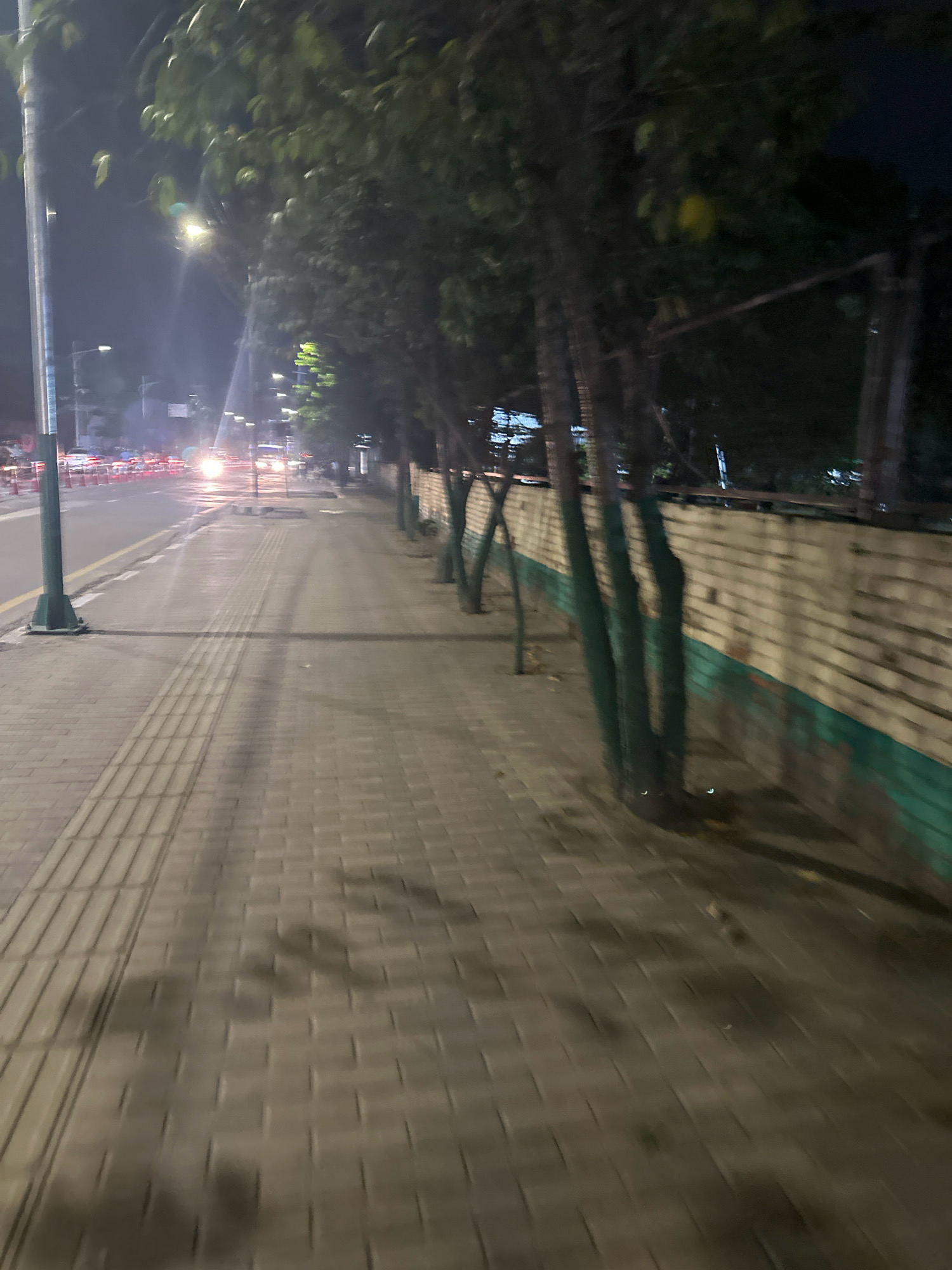The image depicts a street scene at night in Kathmandu Metropolitan City, Nepal. A sidewalk paved with rectangular stones runs along the right side of the frame, separated from a road by a curb. The road, visible on the left, is lined with vehicles and streetlights, suggesting traffic. Trees with green-painted bases are planted along the sidewalk, bordering a brick wall. The lighting is dim, with artificial lights from the street and possibly nearby buildings illuminating the scene. The overall impression is that of a typical urban environment at night, with pedestrian and vehicular activity.
