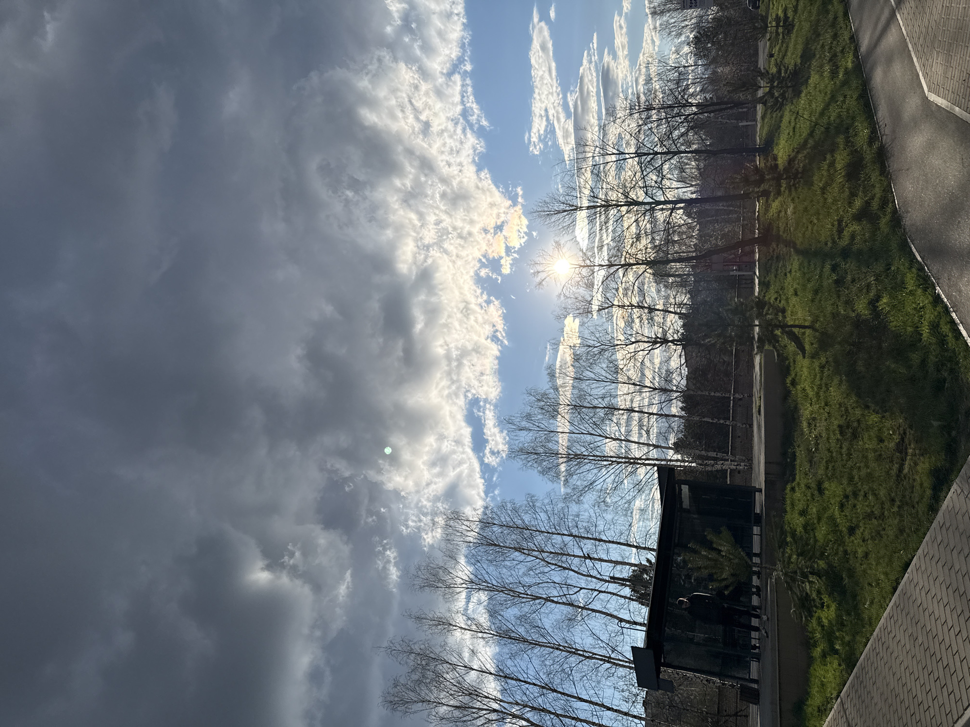 The image captures an outdoor scene with a dramatic sky split between overcast and sunny conditions, likely taken during late afternoon or early morning. The photograph is oriented vertically, showing the horizon running from bottom to top of the frame.
On the left side of the image, the sky is dominated by heavy, dark grey clouds, suggesting a recent or approaching storm. In stark contrast, the right side reveals a bright blue sky with scattered, lighter white and wispy clouds. The sun is visible in the upper right quadrant, shining brightly and causing a starburst effect as it peeks through the clouds.
Bare deciduous trees with intricate, dark branches are silhouetted against the bright sky, stretching across the middle of the frame. These trees appear to be in late winter or early spring. Below the trees, a strip of vibrant green grass is visible, suggesting healthy vegetation.
In the lower right portion of the image, a dark, rectangular structure, possibly a bus stop shelter or a small building with reflective windows, is present. A single person, dressed in dark clothing, is faintly visible standing inside or next to this structure. To the immediate right of the grass and structure, a paved asphalt path runs alongside a brick-paved sidewalk, indicating an urban or suburban setting.
The overall scene presents a striking dichotomy of weather conditions, with heavy clouds on one side and brilliant sunshine on the other, creating strong lighting contrasts and shadows cast by the trees on the grass. No visible text is discernible in the image.