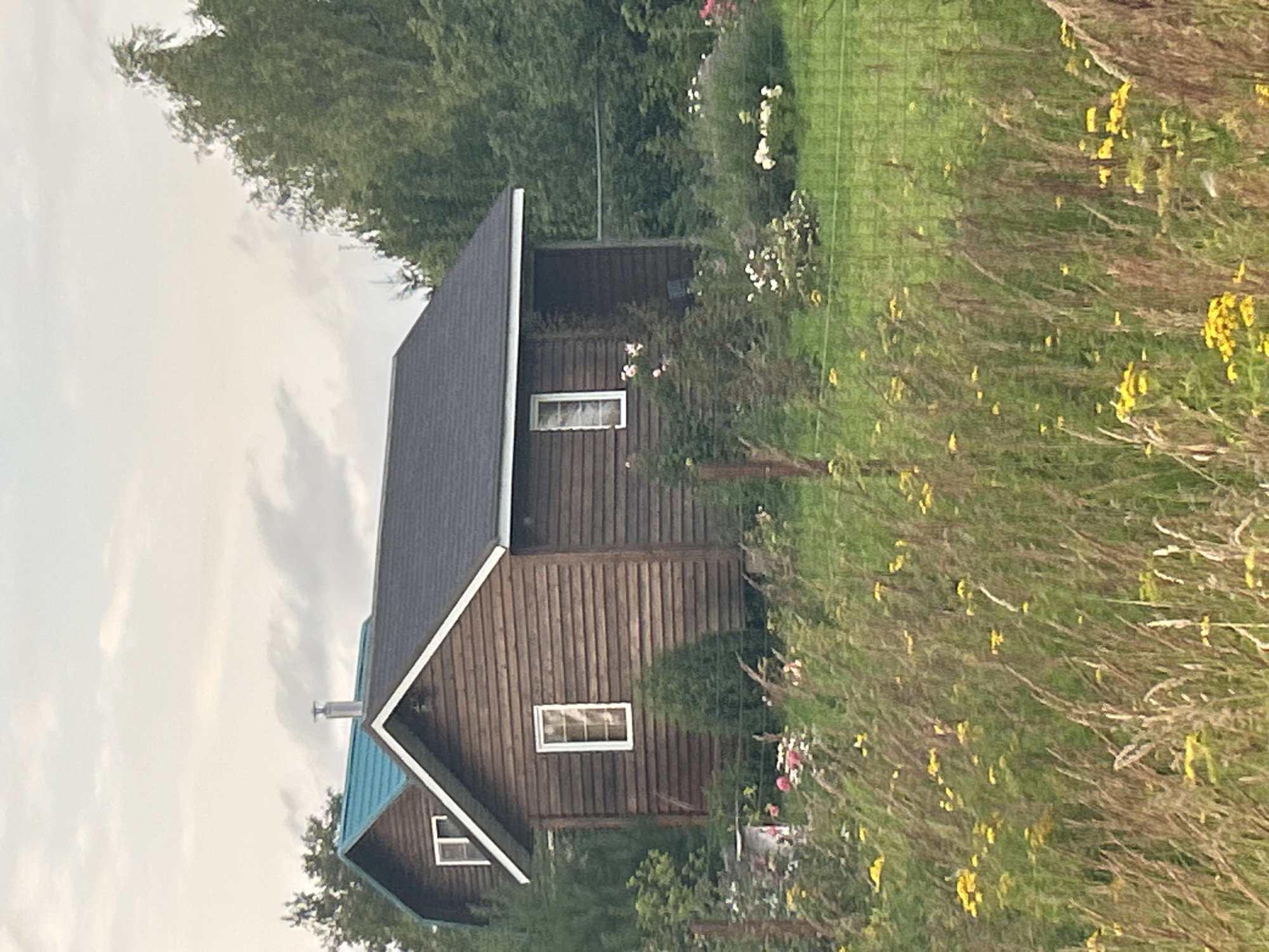 The image shows a rustic wooden house with a dark asphalt shingle roof, situated in a natural setting with abundant vegetation. The house has horizontal wooden siding and a white-trimmed rectangular window on its front face. To the left, another building with a turquoise roof is partially visible, also with a white-trimmed window. The foreground is filled with tall, dry grass and small yellow flowers, suggesting a rural or semi-rural environment. In the background, dense green trees form a backdrop. The sky is overcast with a pale, cloudy appearance. The scene appears to be a residential area in Kalitsino, Russia, characterized by natural landscaping and modest architecture.