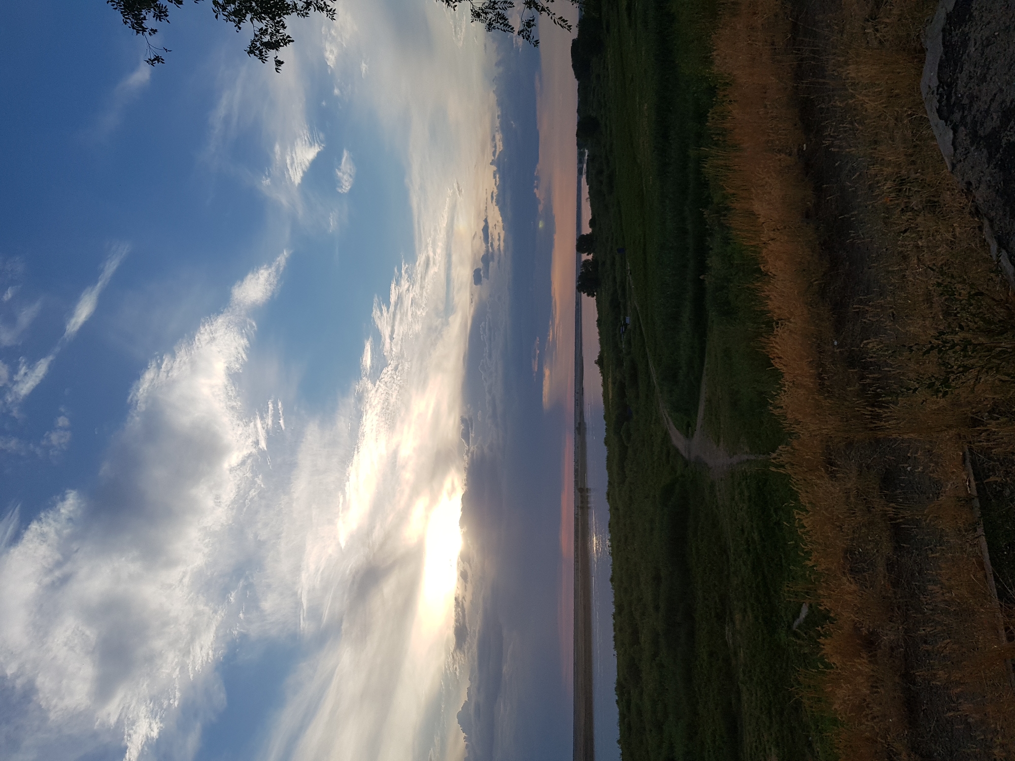 A wide shot captures a river scene at dusk, likely near the city of Kurchatov, Kazakhstan. The sky dominates the upper half of the frame, filled with a dramatic display of clouds. Wispy white cirrus clouds streak across a bright blue sky, interspersed with darker, heavier clouds closer to the horizon. The setting sun is partially obscured by these clouds, casting a warm, diffused light that creates a soft glow and hints of pink and orange hues in the sky.
Below the sky, a wide, calm river stretches horizontally across the mid-ground. The water reflects the subdued colors of the sky, appearing muted and tranquil. The riverbanks are lined with dense, green vegetation, creating a rich, textured foreground. A narrow, winding dirt path is visible cutting through the grassy landscape, leading towards the river. On the far bank of the river, a line of dark trees and vegetation forms a distant silhouette against the fading light. In the lower foreground, dry, golden grass and some dark earth are visible, suggesting a slightly elevated viewpoint. No people or specific objects of interest are identifiable in the scene. The overall impression is one of natural beauty and peacefulness at the close of day.