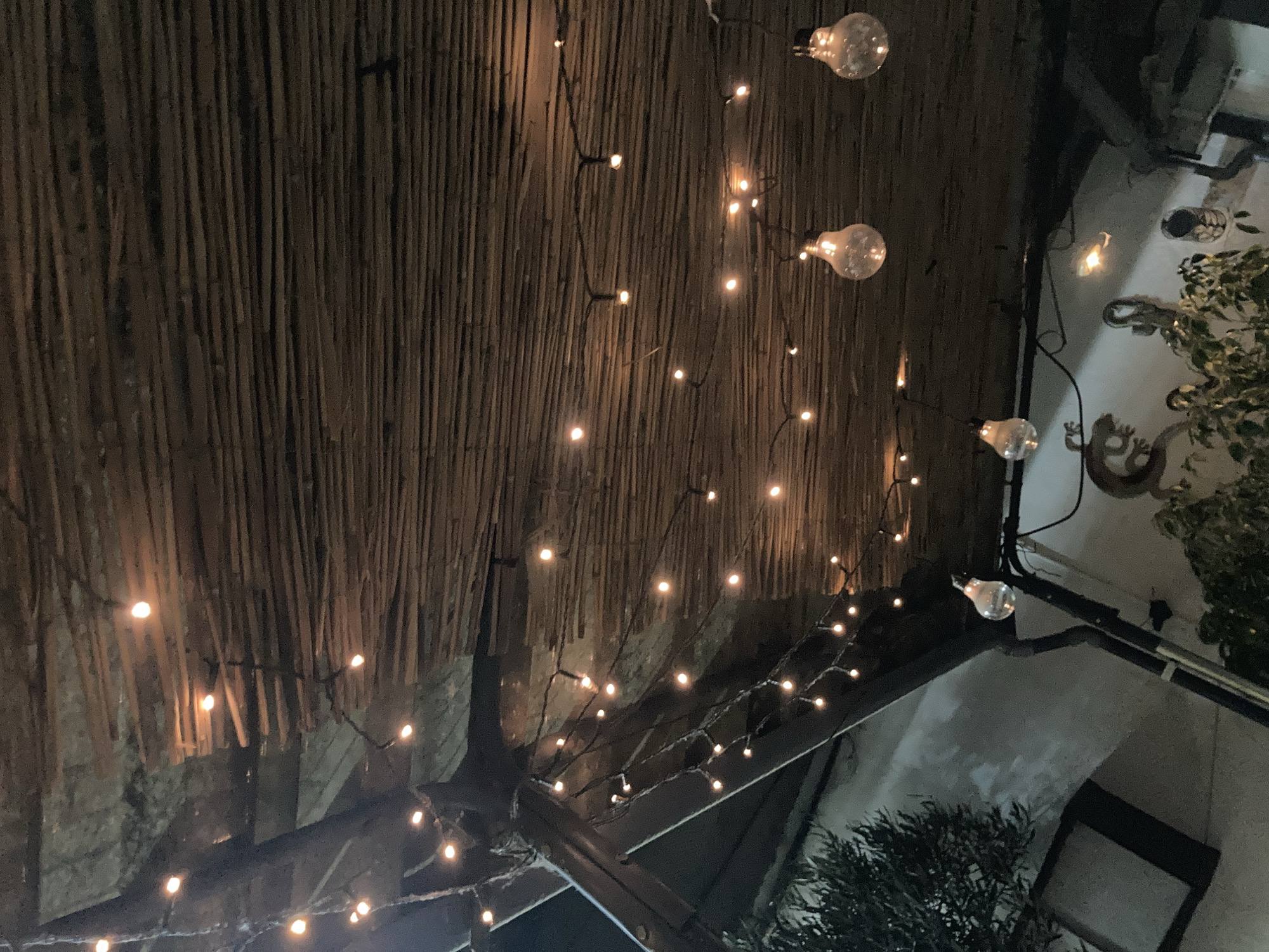 This image captures an outdoor seating area at night, likely part of a restaurant or bar, with a rustic, thatched roof. The ceiling is constructed from numerous thin, horizontal wooden slats or reeds, creating a textured, natural appearance. A string of small, warm-toned fairy lights is draped across the ceiling and hangs down in several places, illuminating the space. In the foreground, three larger, clear glass Edison-style bulbs hang from wires, adding to the ambient lighting.
Below the thatched roof, a dark, possibly metal or wooden beam structure is visible on the left side of the frame, supporting the roof. The background shows a dimly lit wall, painted white or a very light color, with shadows and some greenery. To the left, a dark green tree or shrub is partially visible, its leaves silhouetted against the wall. On the wall itself, faint decorative elements resembling lizards or chameleons are visible, suggesting a themed outdoor space. The overall atmosphere is cozy and atmospheric, suitable for evening dining or socializing. The location is identified as Sabadell, Spain, likely a commercial establishment. There are no people visible in the image.
