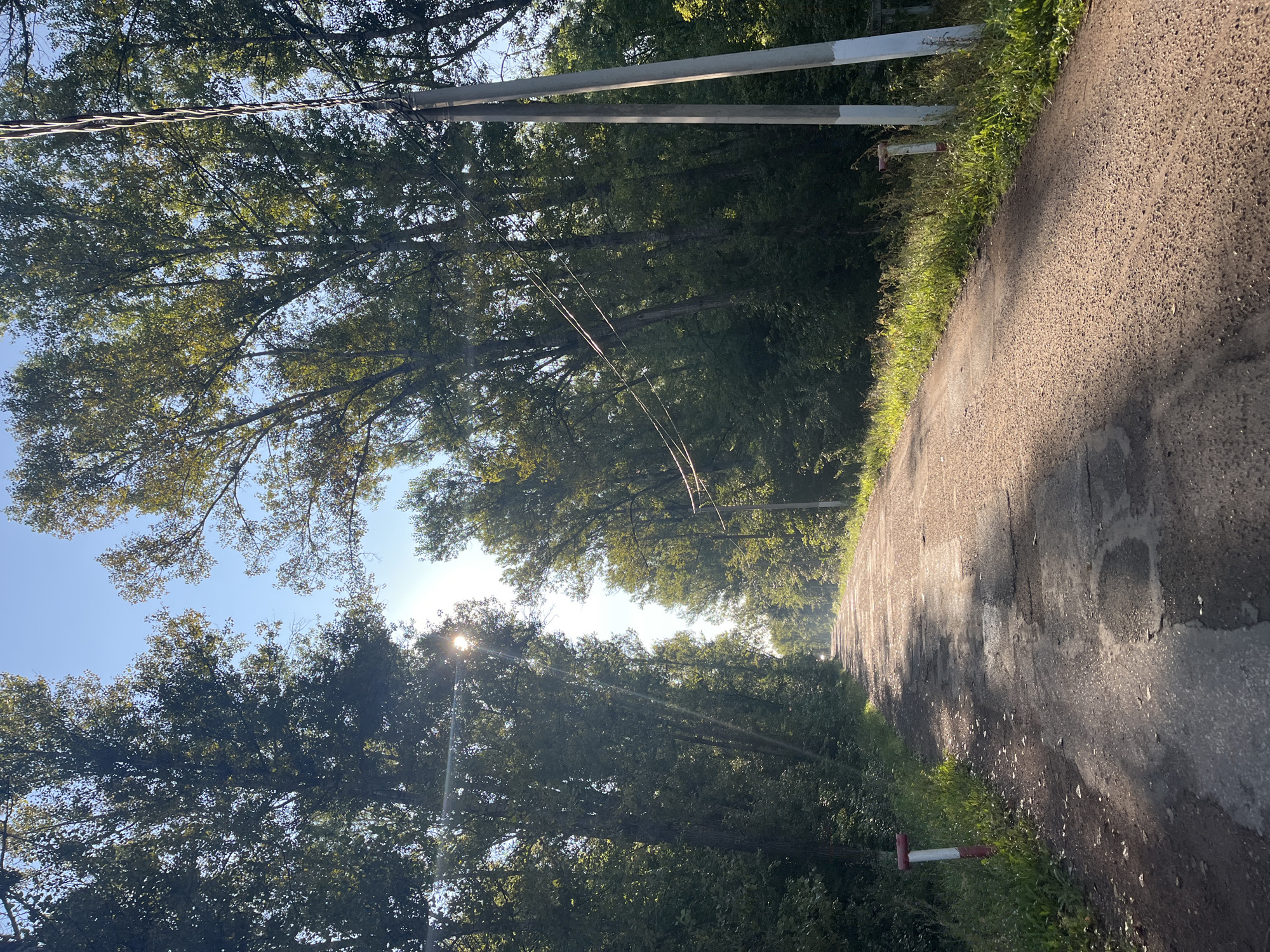 The image depicts a sun-dappled, unpaved road lined with tall trees on both sides. The road surface is uneven with visible patches of wear and some puddles. The trees, densely packed, create a canopy over the road, with sunlight filtering through the leaves and casting shadows. In the background, the road recedes into the distance, appearing to lead towards a bright, hazy area, suggesting a horizon or a lighter, open space. Two utility poles with wires are visible on the right side of the road. Two small marker posts, one on the left and one on the right, are also present. The sky is a clear blue. The presence of utility poles and the road infrastructure suggest a rural or semi-urban setting, potentially on the outskirts of a populated area. The lighting indicates it is daytime, likely morning or late afternoon due to the angle of the sun and the long shadows. This scene is consistent with a road in a natural or semi-natural environment, possibly a park, a nature reserve, or a less developed area within or near the city of Blagoveshchensk, Russia.